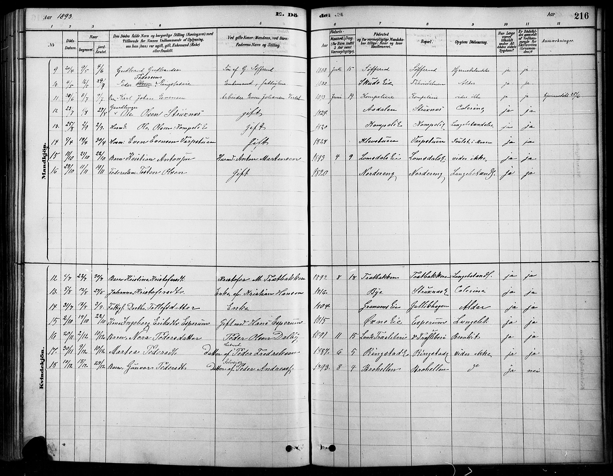 Søndre Land prestekontor, SAH/PREST-122/K/L0003: Parish register (official) no. 3, 1878-1894, p. 216