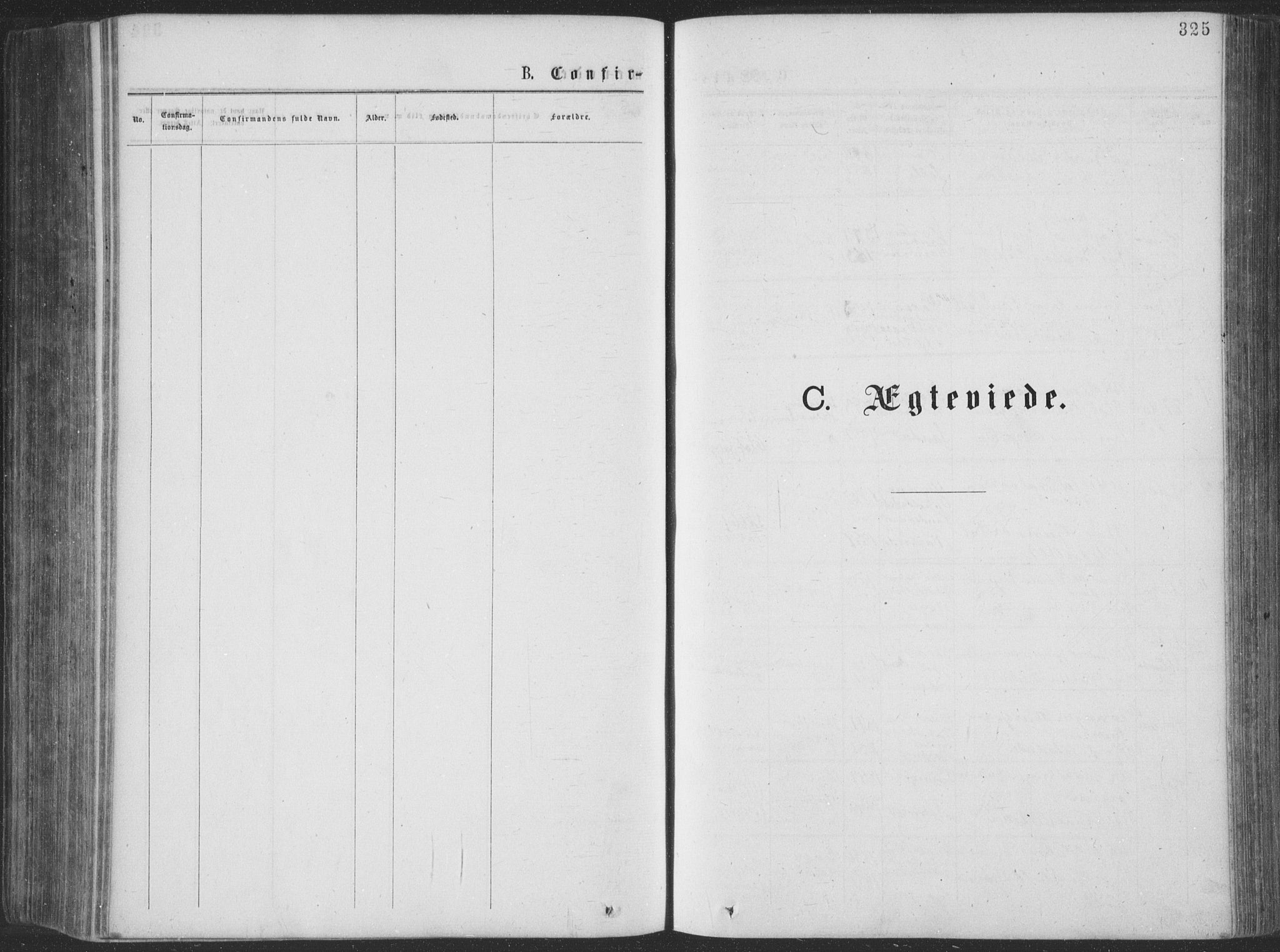 Seljord kirkebøker, SAKO/A-20/F/Fa/L0014: Parish register (official) no. I 14, 1877-1886, p. 325