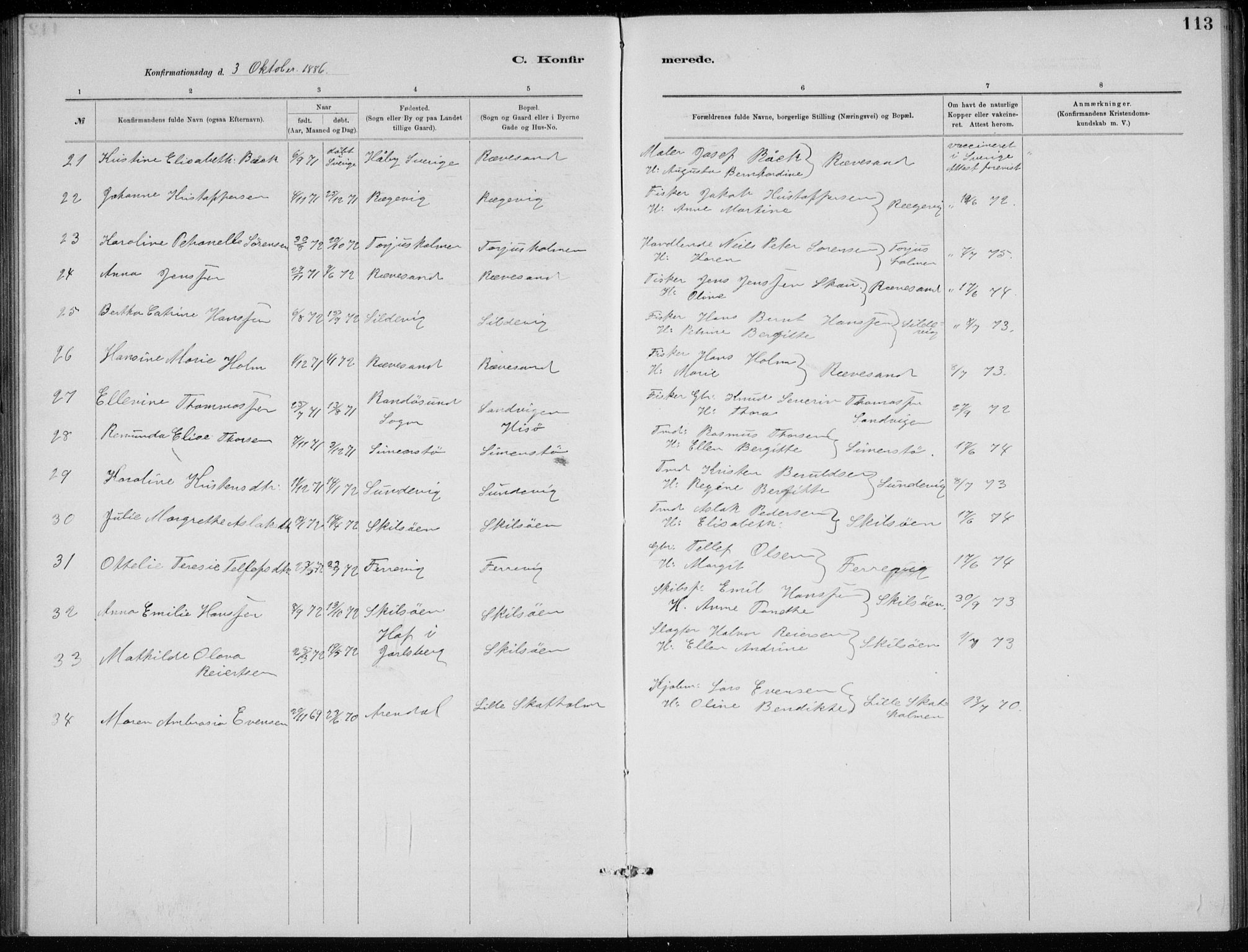 Tromøy sokneprestkontor, SAK/1111-0041/F/Fb/L0005: Parish register (copy) no. B 5, 1877-1891, p. 113