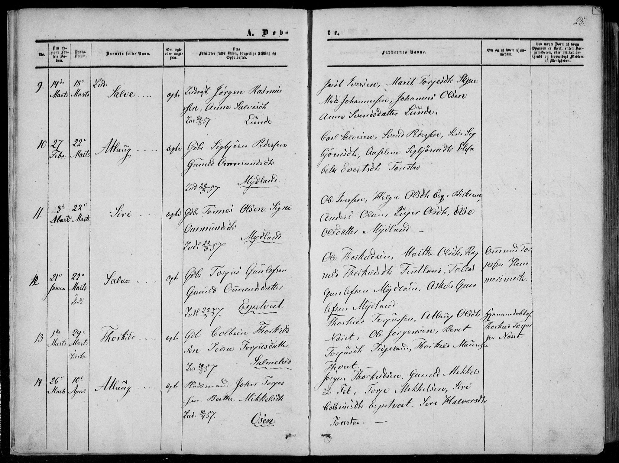 Sirdal sokneprestkontor, AV/SAK-1111-0036/F/Fa/Fab/L0002: Parish register (official) no. A 2, 1855-1874, p. 25