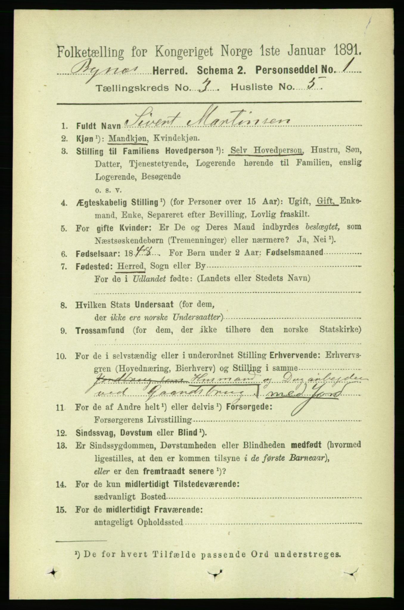 RA, 1891 census for 1655 Byneset, 1891, p. 1310