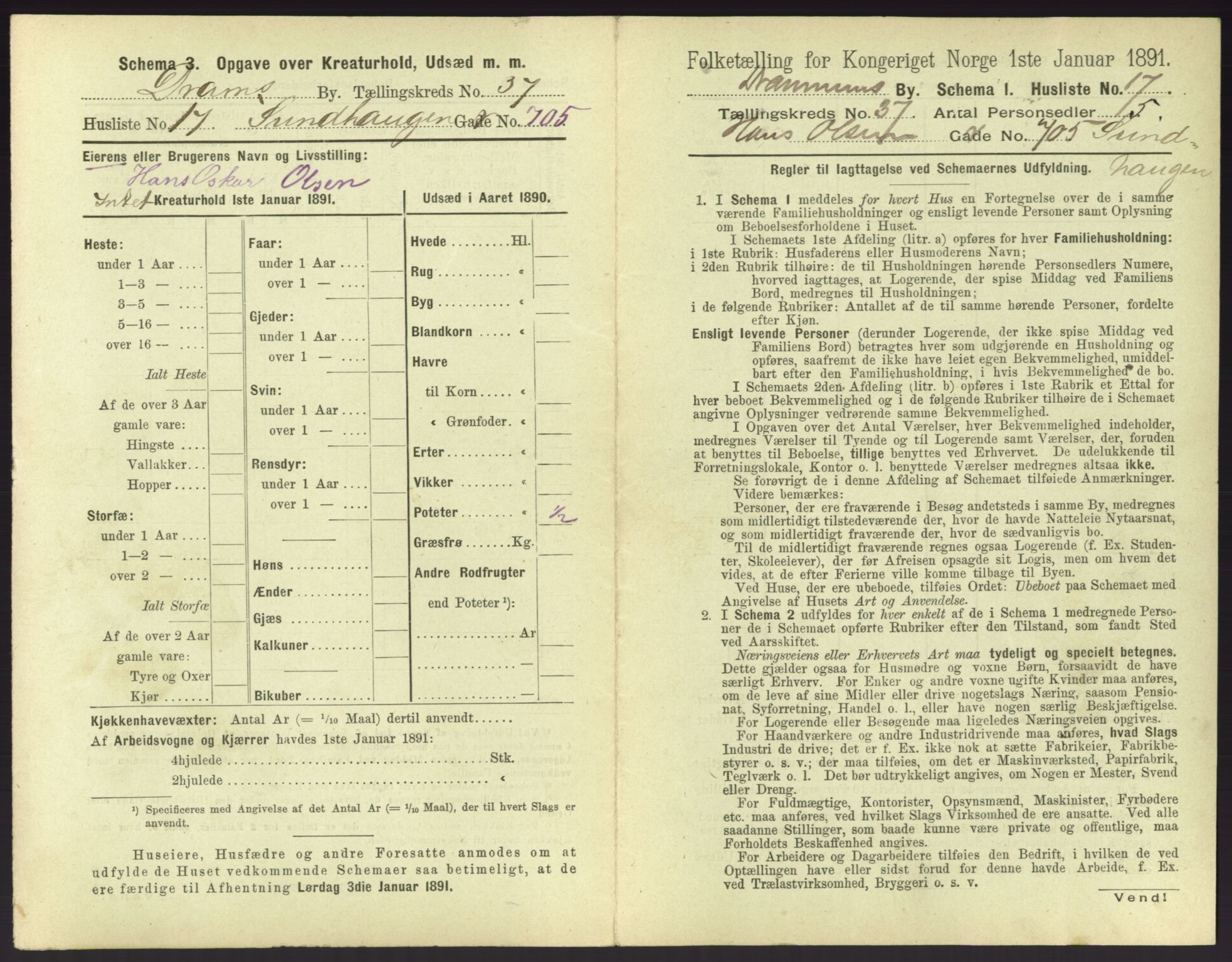 RA, 1891 census for 0602 Drammen, 1891, p. 3393