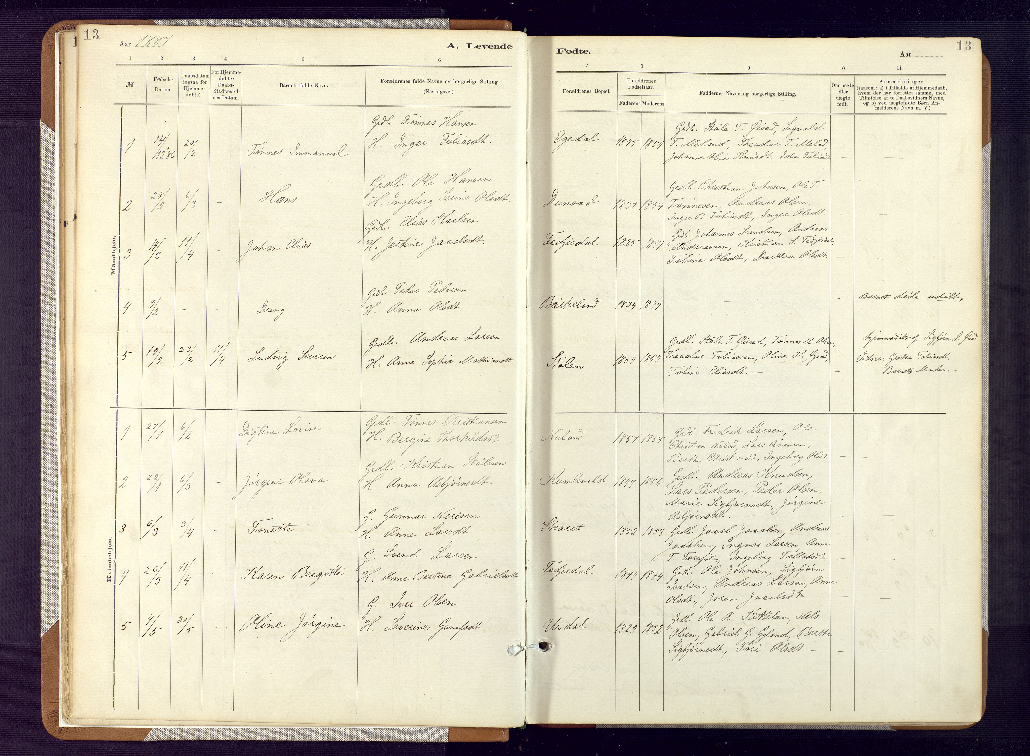 Bakke sokneprestkontor, SAK/1111-0002/F/Fa/Fab/L0003: Parish register (official) no. A 3, 1884-1921, p. 13