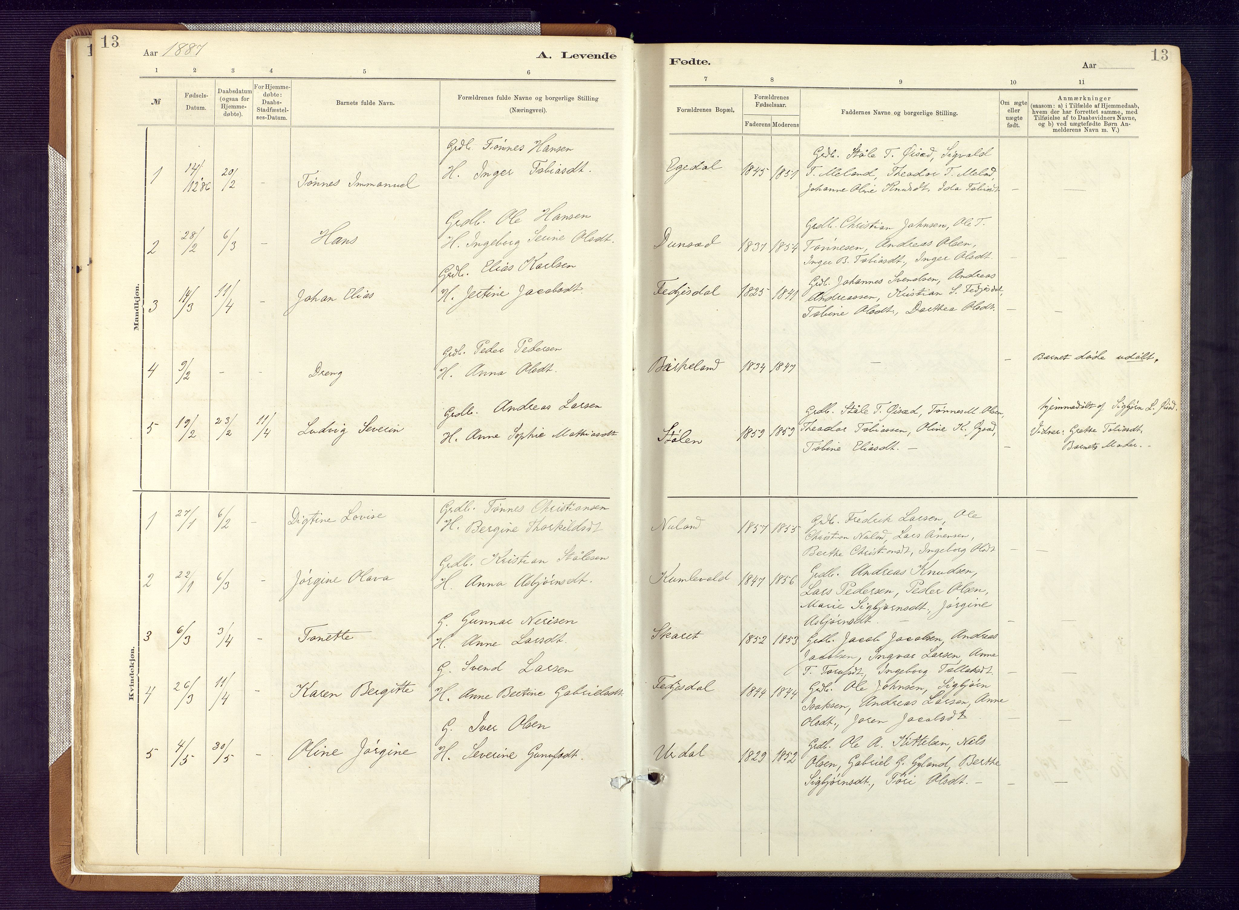 Bakke sokneprestkontor, AV/SAK-1111-0002/F/Fa/Fab/L0003: Parish register (official) no. A 3, 1884-1921, p. 13