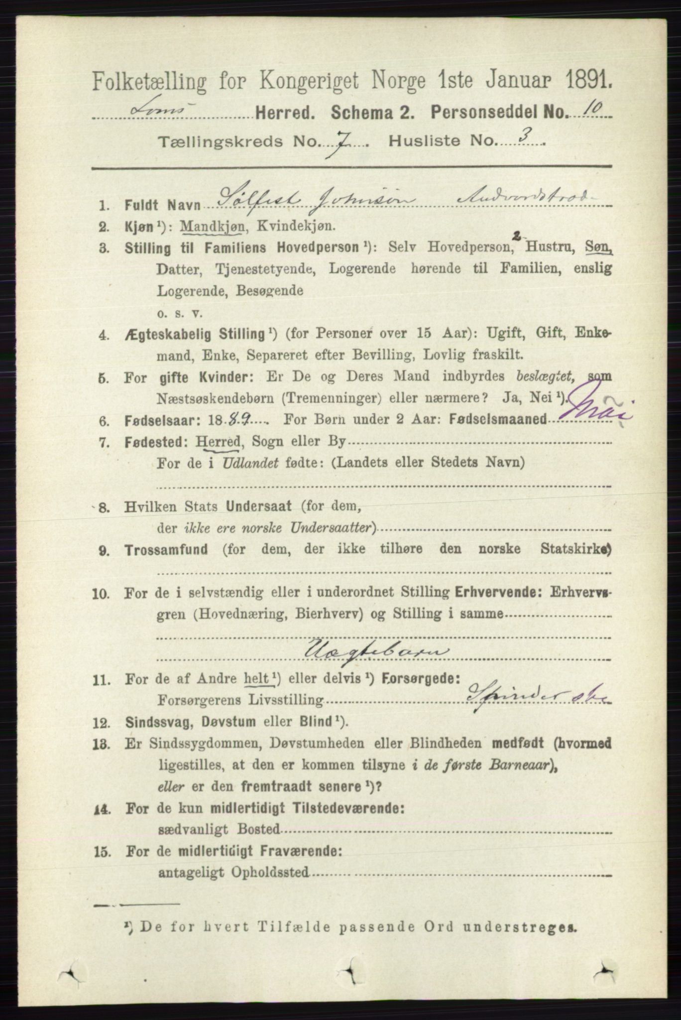 RA, 1891 census for 0514 Lom, 1891, p. 2819