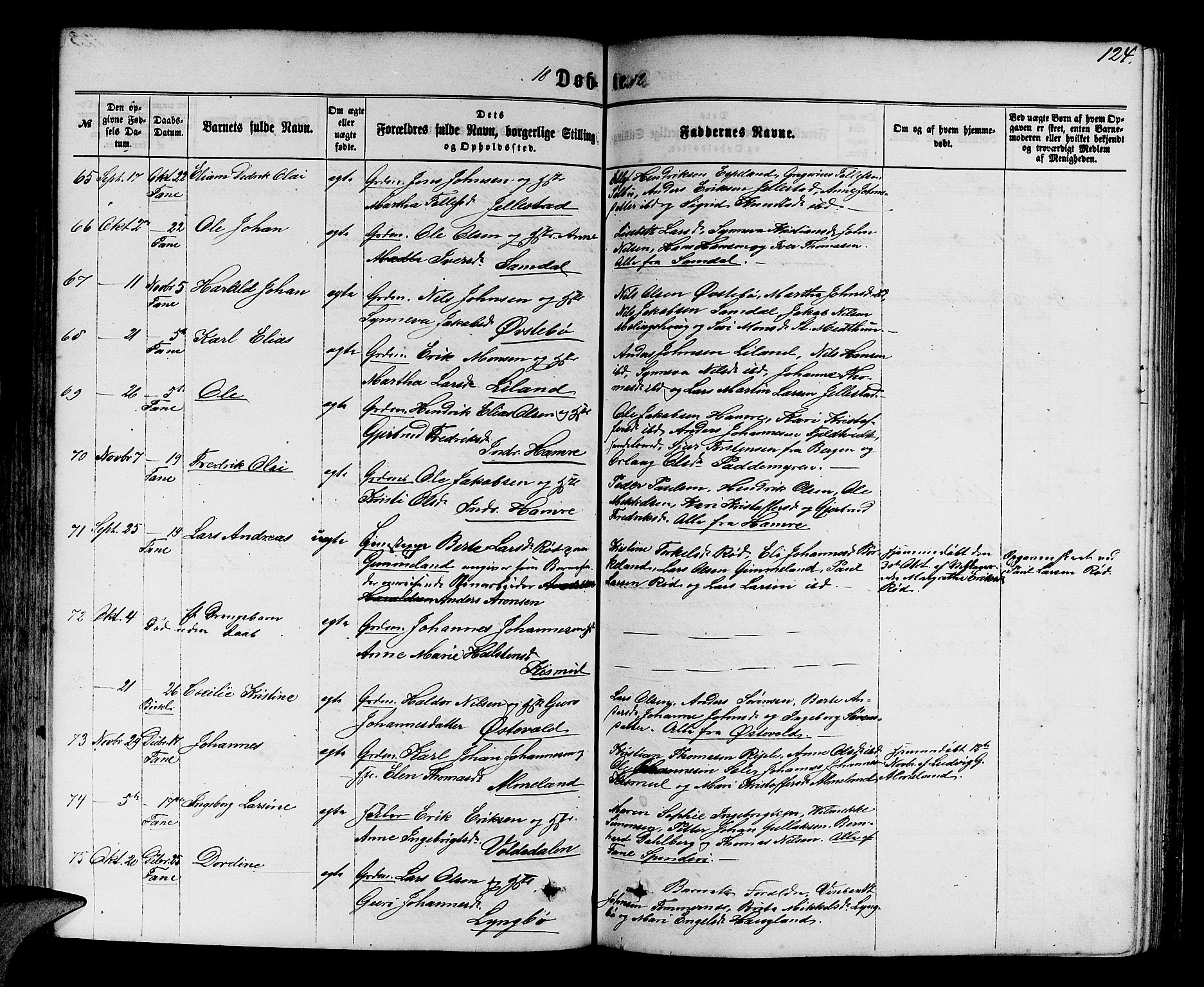 Fana Sokneprestembete, SAB/A-75101/H/Hab/Habb/L0003: Parish register (copy) no. B 3, 1861-1888, p. 124