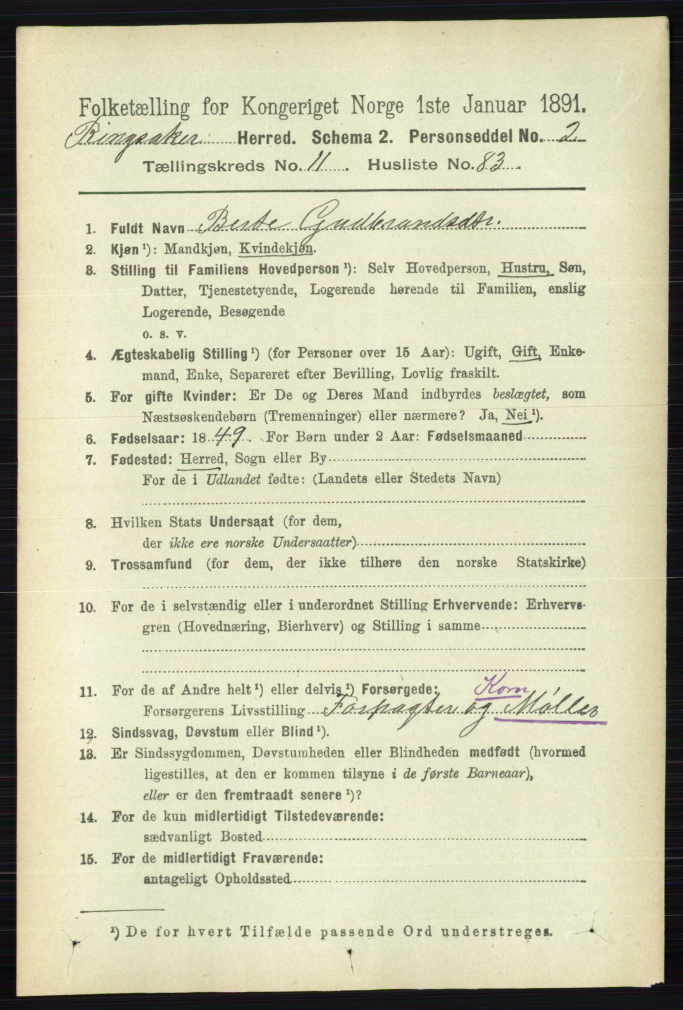 RA, 1891 census for 0412 Ringsaker, 1891, p. 6675