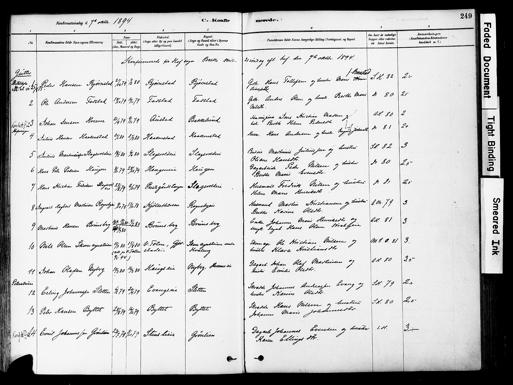 Østre Toten prestekontor, SAH/PREST-104/H/Ha/Haa/L0006: Parish register (official) no. 6 /1, 1878-1896, p. 249