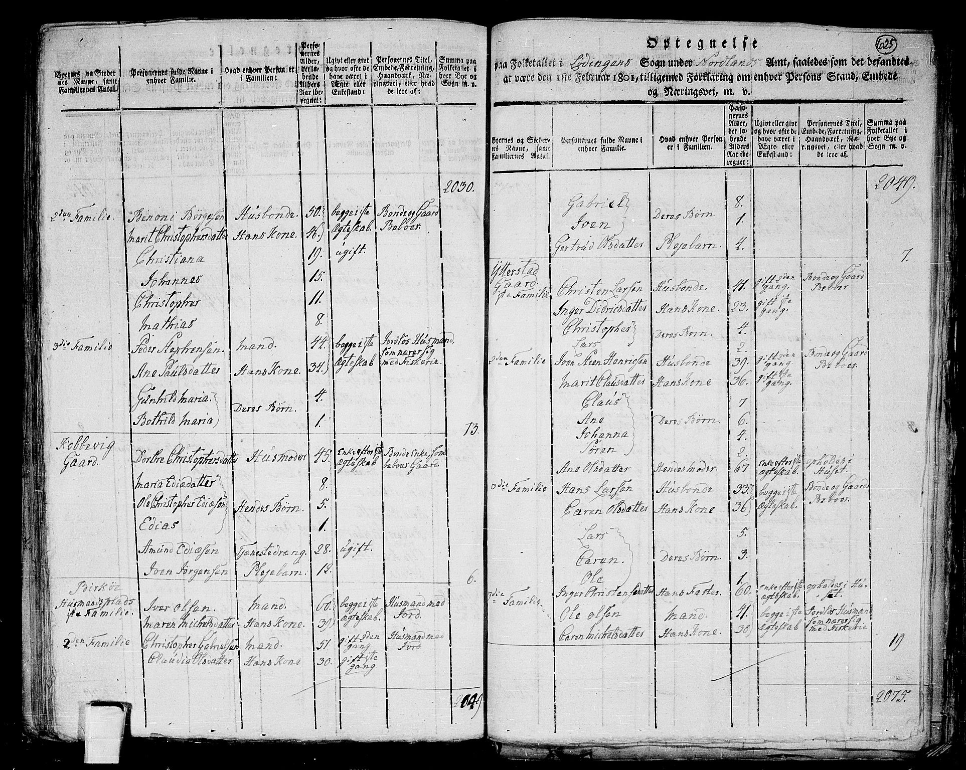 RA, 1801 census for 1851P Lødingen, 1801, p. 624b-625a