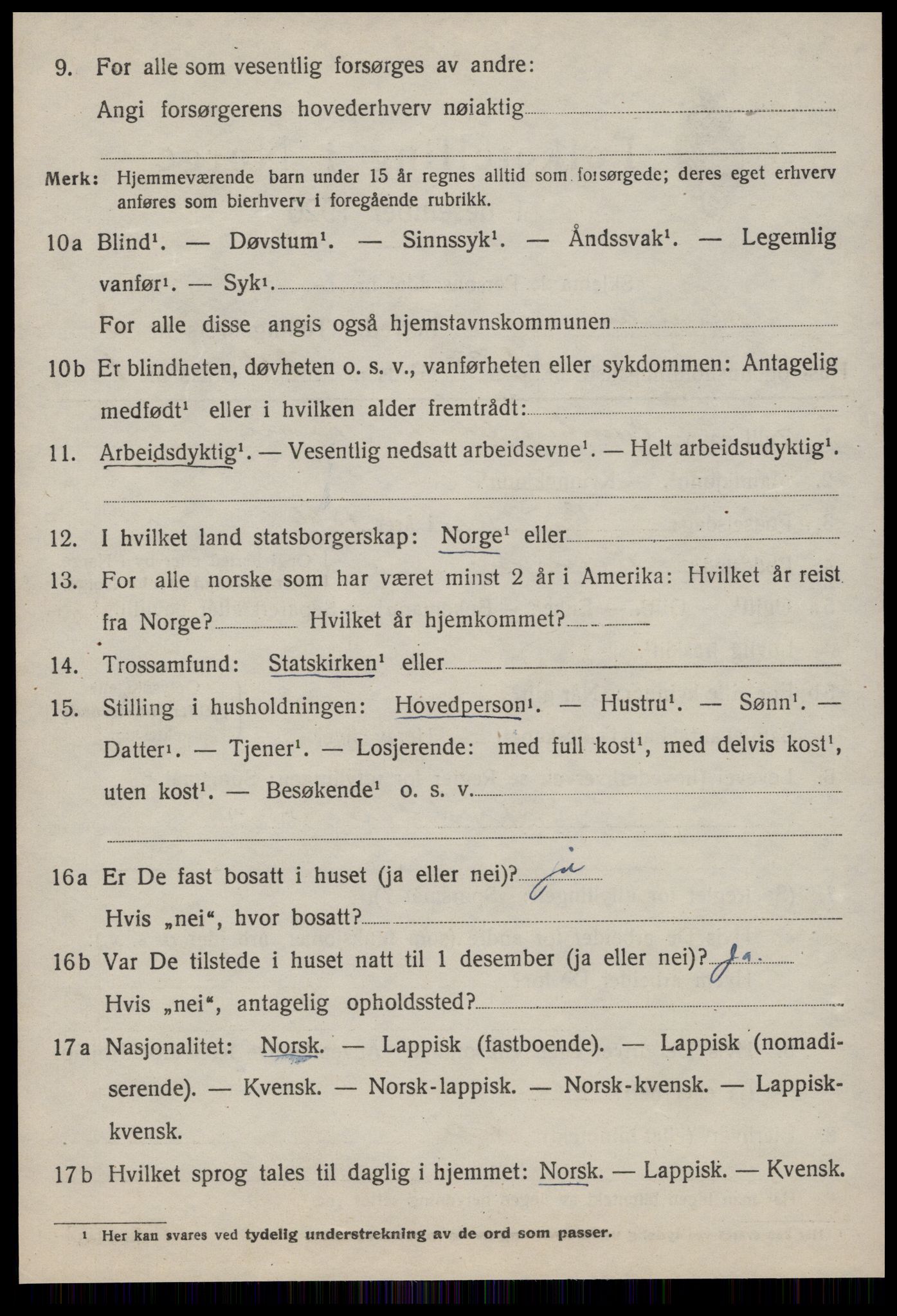 SAT, 1920 census for Rennebu, 1920, p. 1919