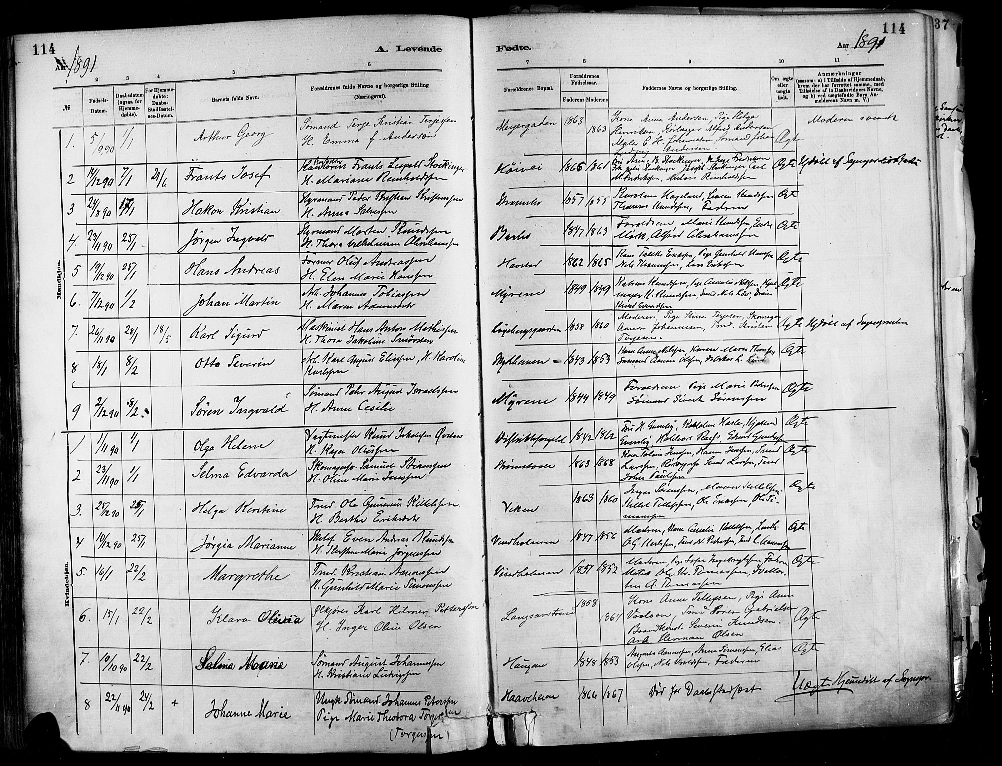 Barbu sokneprestkontor, SAK/1111-0003/F/Fa/L0002: Parish register (official) no. A 2, 1883-1898, p. 114