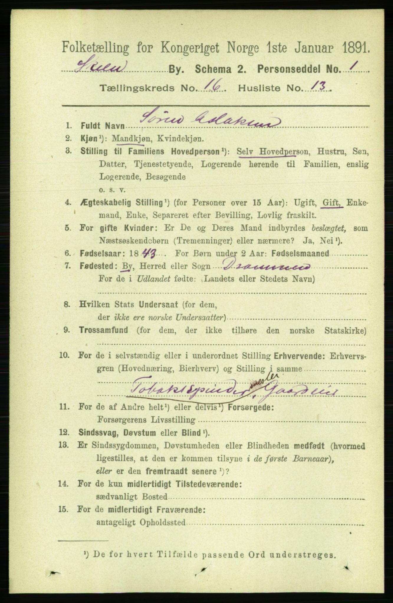 RA, 1891 census for 0806 Skien, 1891, p. 4645