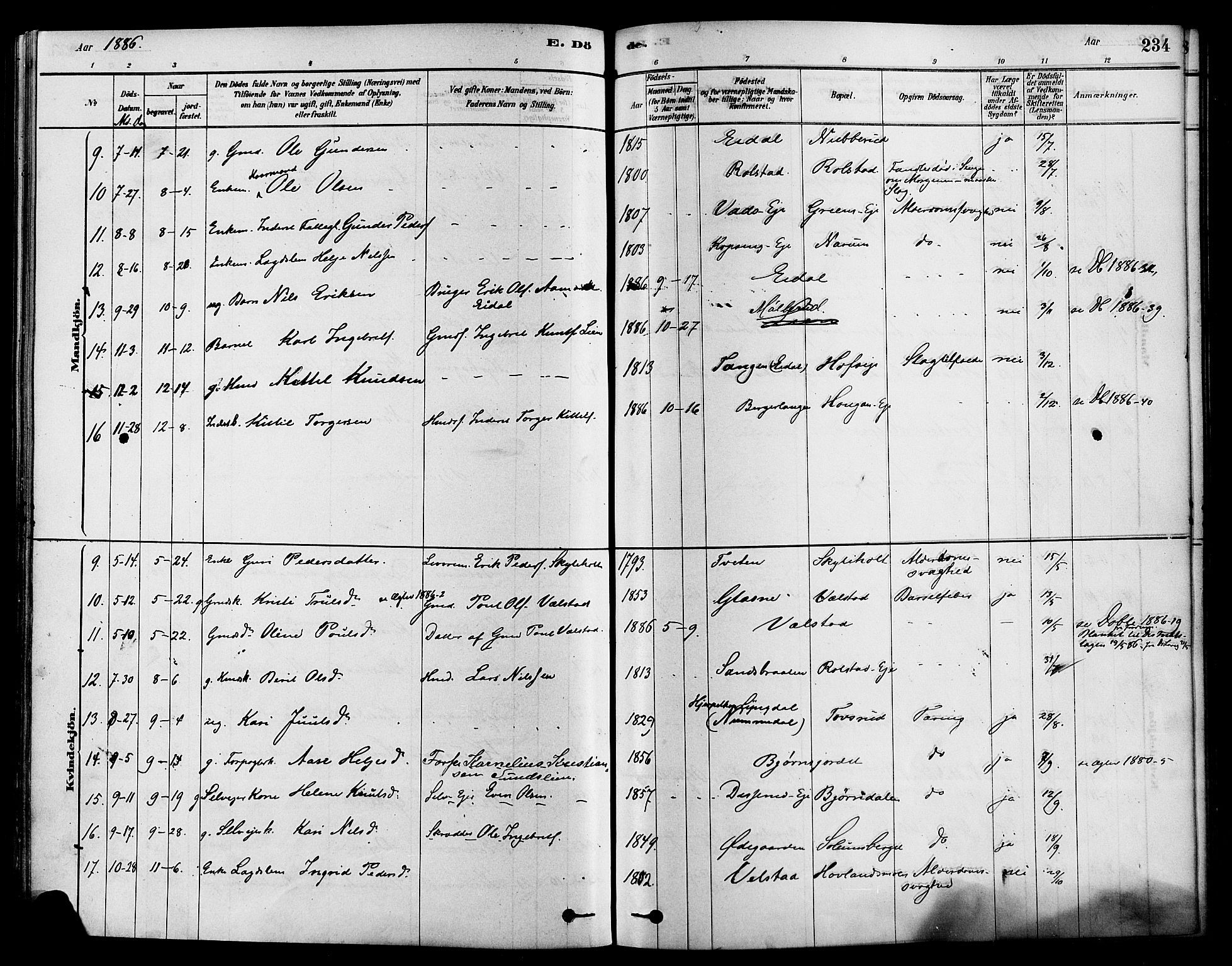 Sigdal kirkebøker, AV/SAKO-A-245/F/Fa/L0011: Parish register (official) no. I 11, 1879-1887, p. 234