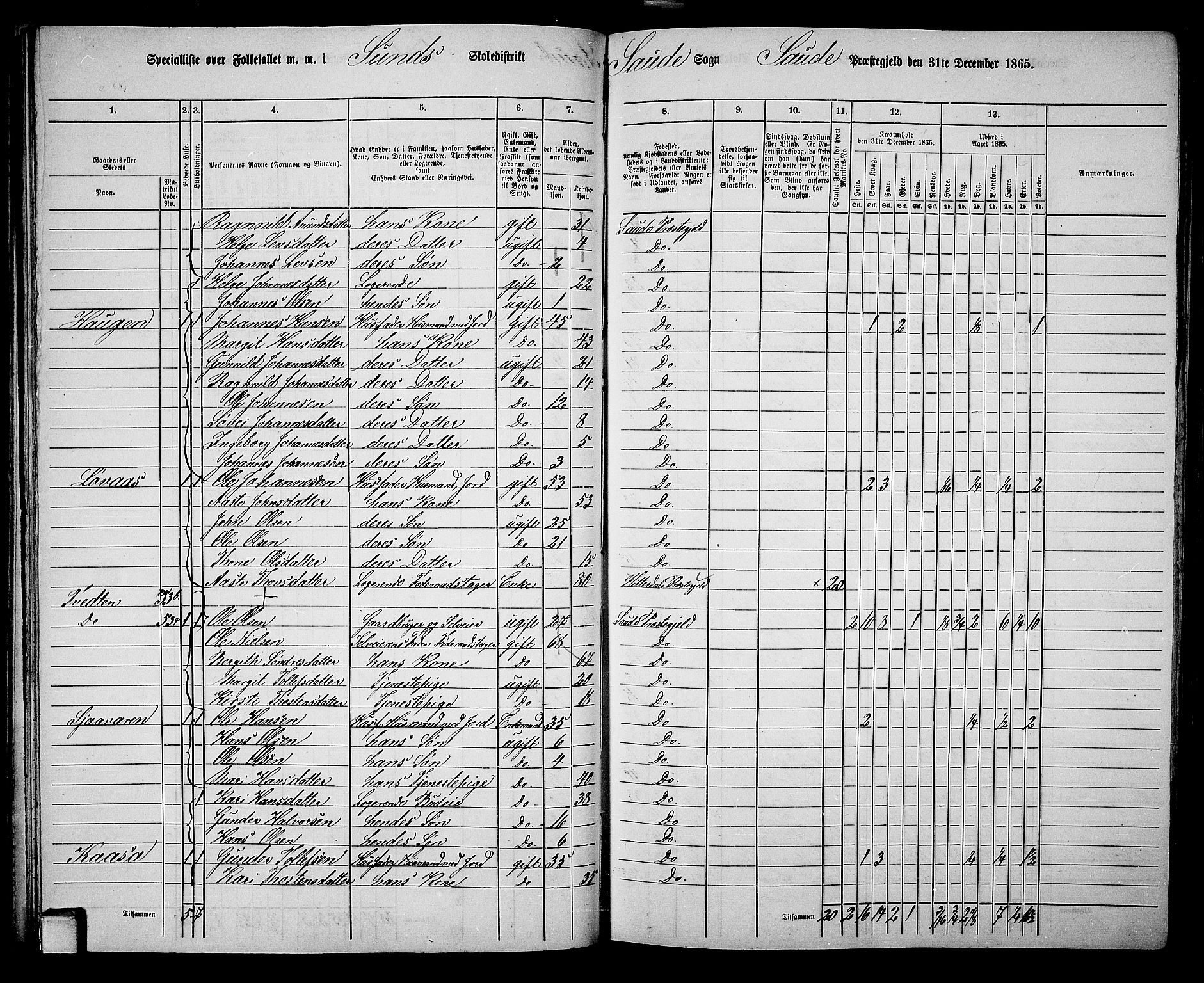 RA, 1865 census for Sauherad, 1865, p. 50