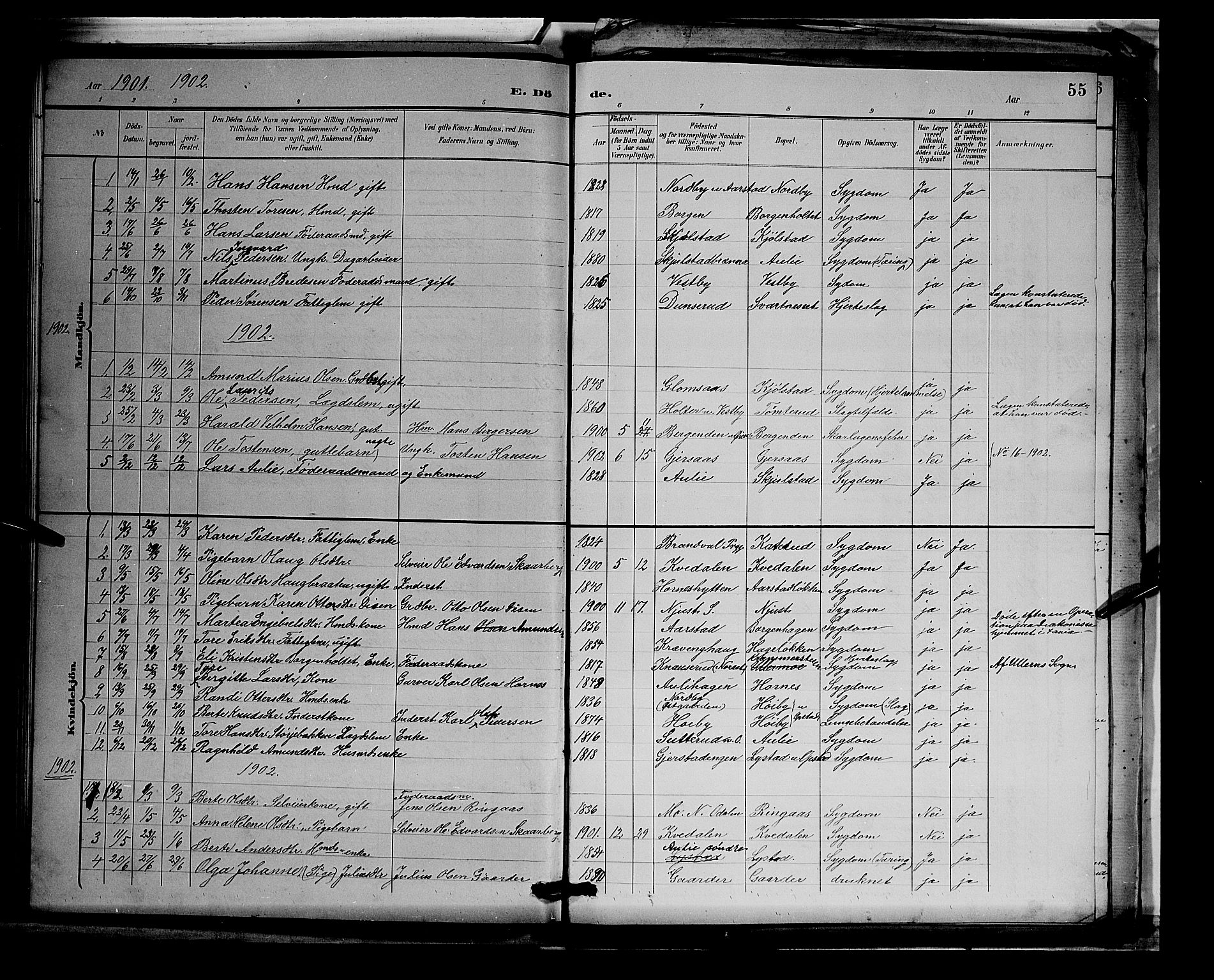 Sør-Odal prestekontor, AV/SAH-PREST-030/H/Ha/Hab/L0003: Parish register (copy) no. 3, 1895-1906, p. 55