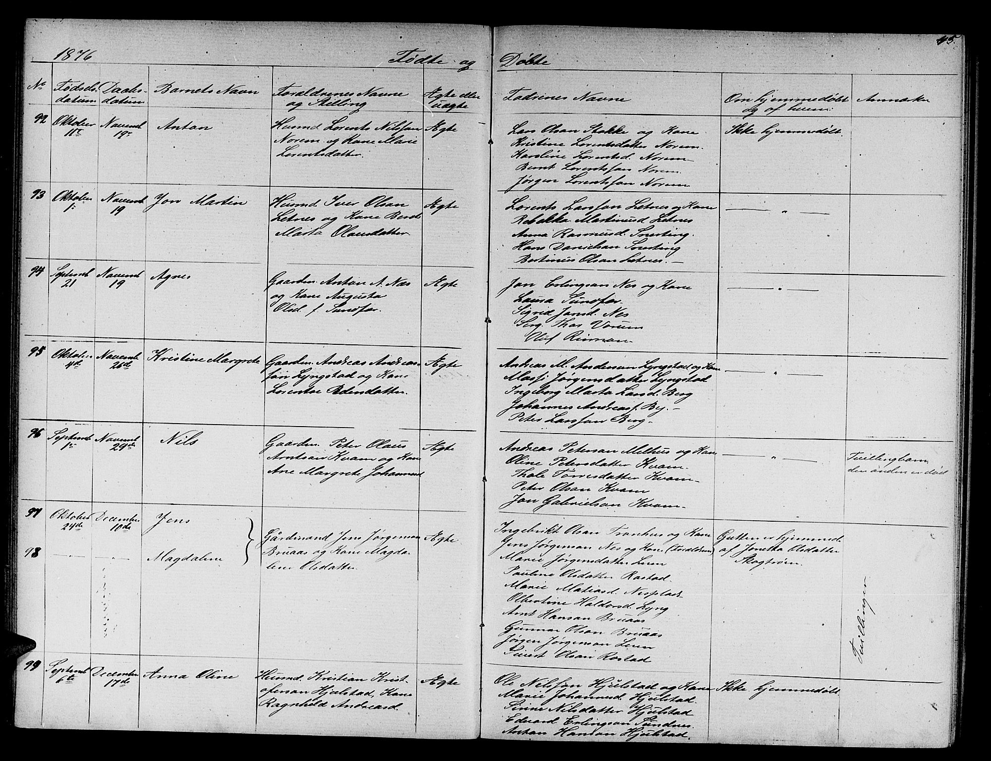 Ministerialprotokoller, klokkerbøker og fødselsregistre - Nord-Trøndelag, AV/SAT-A-1458/730/L0300: Parish register (copy) no. 730C03, 1872-1879, p. 45