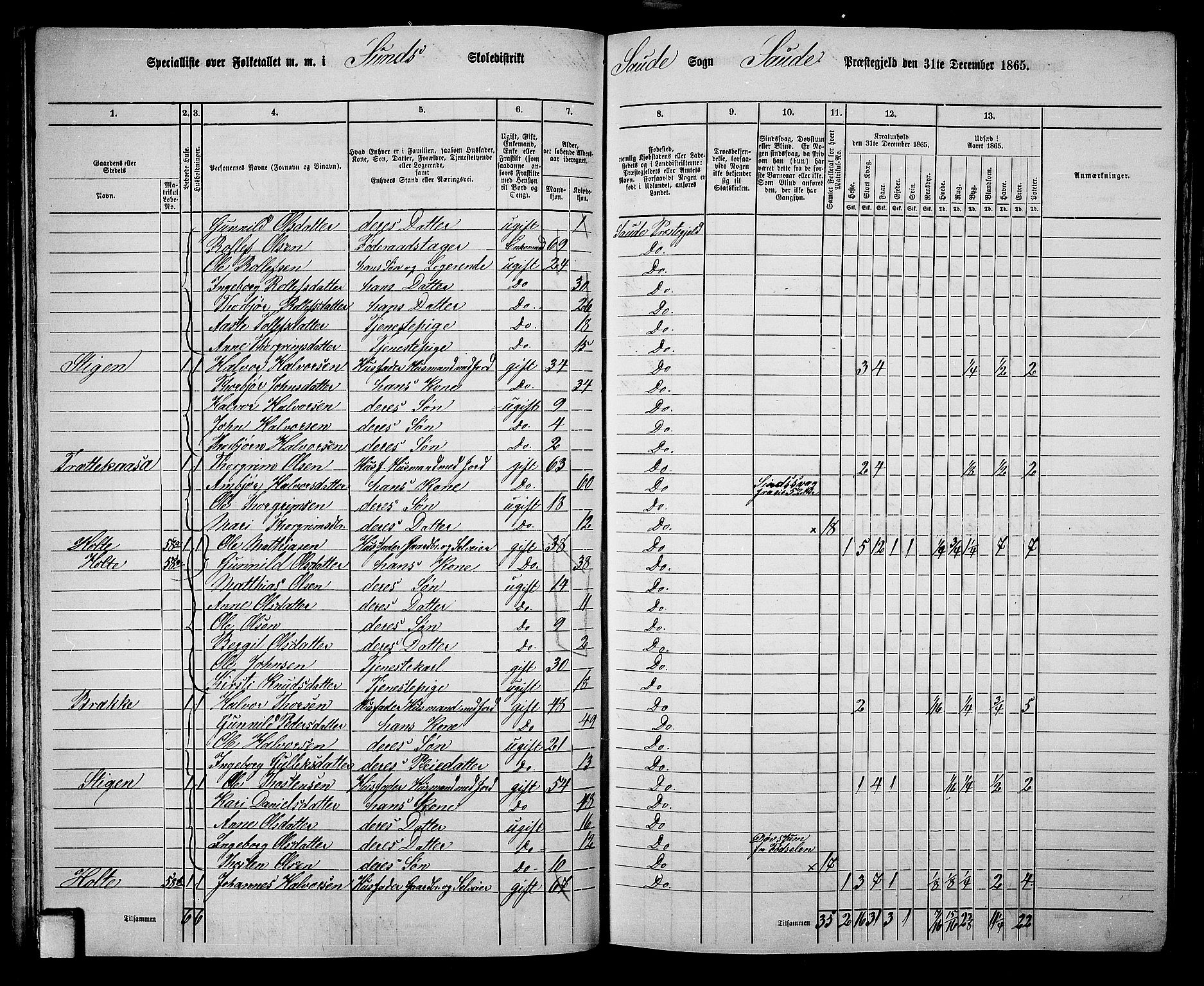 RA, 1865 census for Sauherad, 1865, p. 52