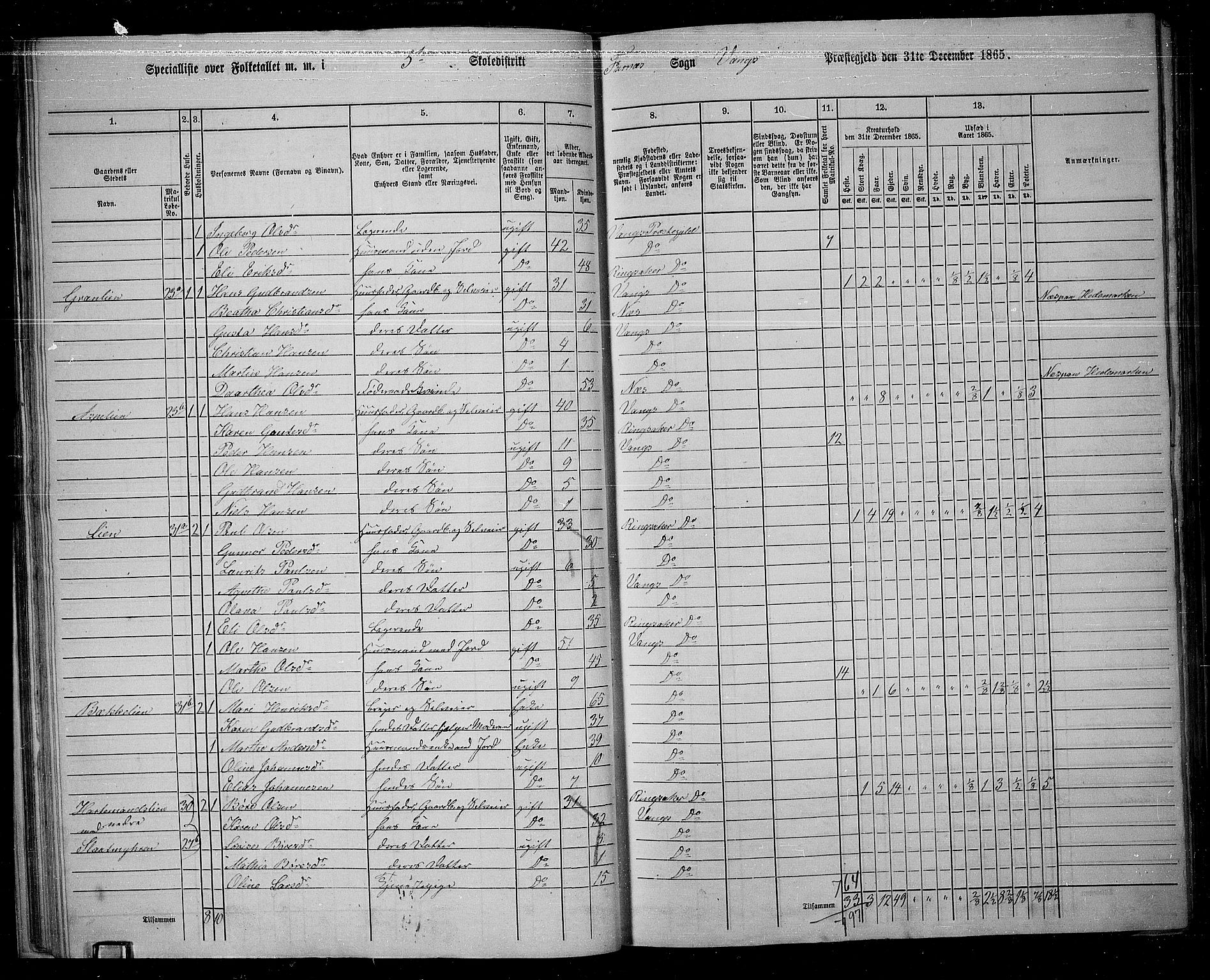 RA, 1865 census for Vang/Vang og Furnes, 1865, p. 42