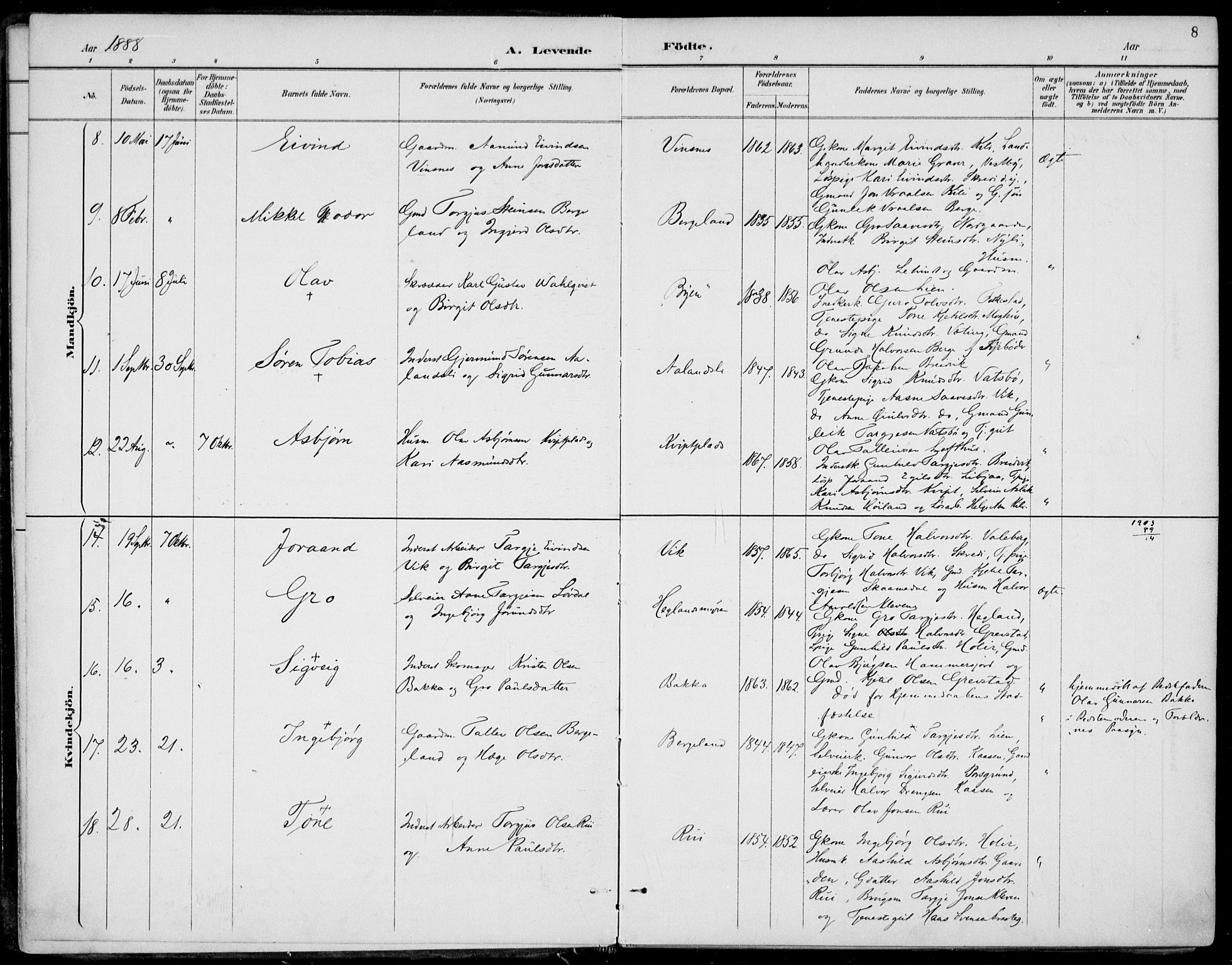 Fyresdal kirkebøker, SAKO/A-263/F/Fa/L0007: Parish register (official) no. I 7, 1887-1914, p. 8