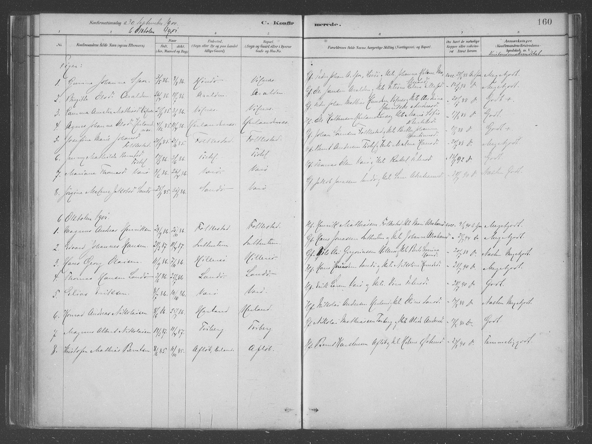 Askvoll sokneprestembete, SAB/A-79501/H/Haa/Haac/L0001: Parish register (official) no. C  1, 1879-1922, p. 160