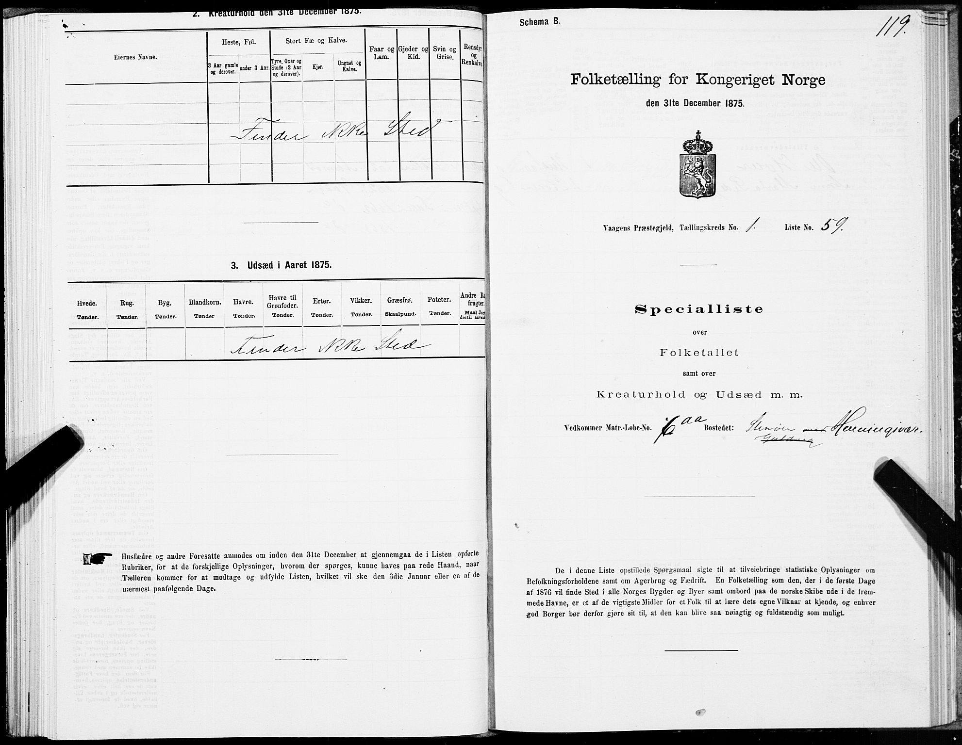 SAT, 1875 census for 1865P Vågan, 1875, p. 1119