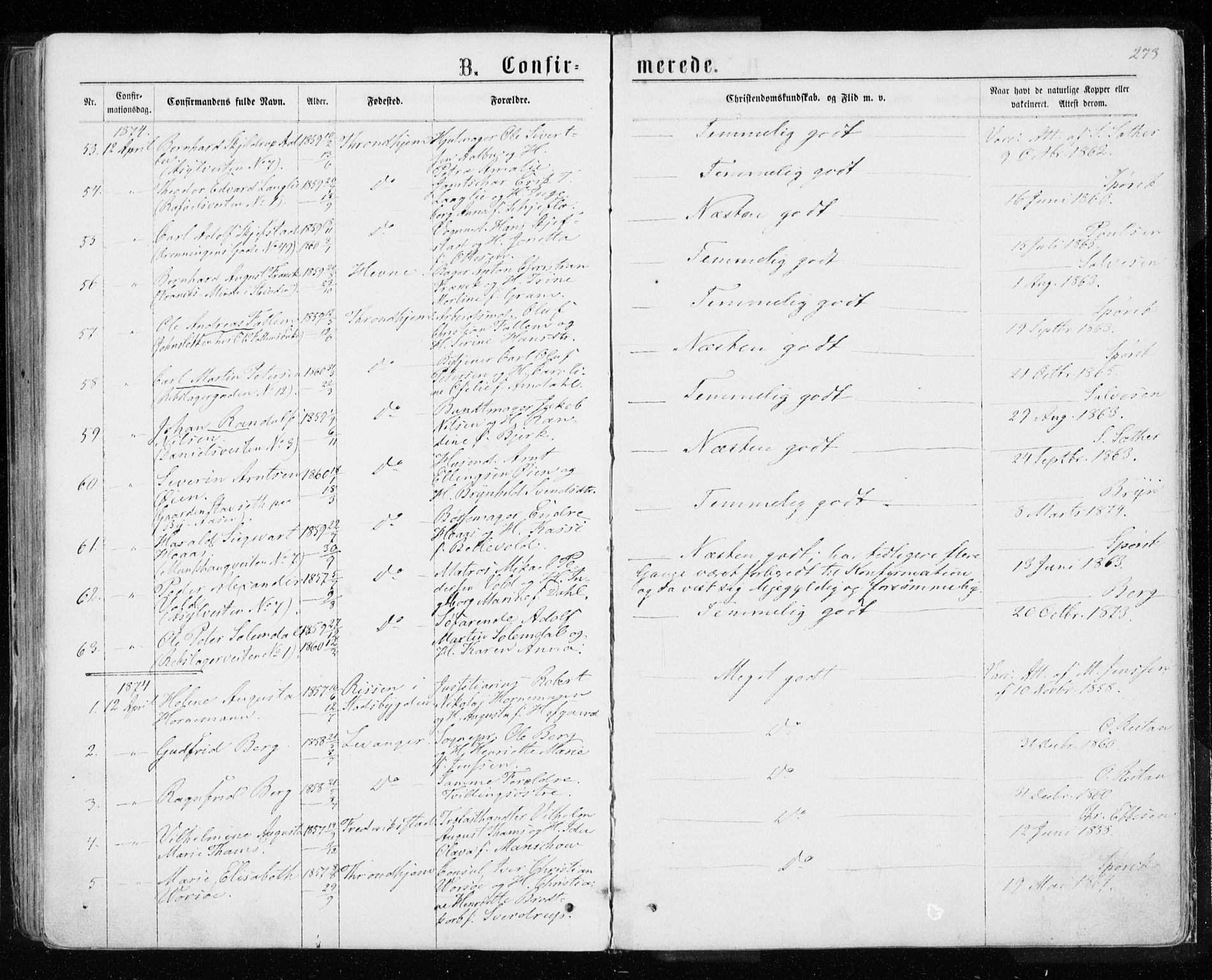 Ministerialprotokoller, klokkerbøker og fødselsregistre - Sør-Trøndelag, AV/SAT-A-1456/601/L0054: Parish register (official) no. 601A22, 1866-1877, p. 273