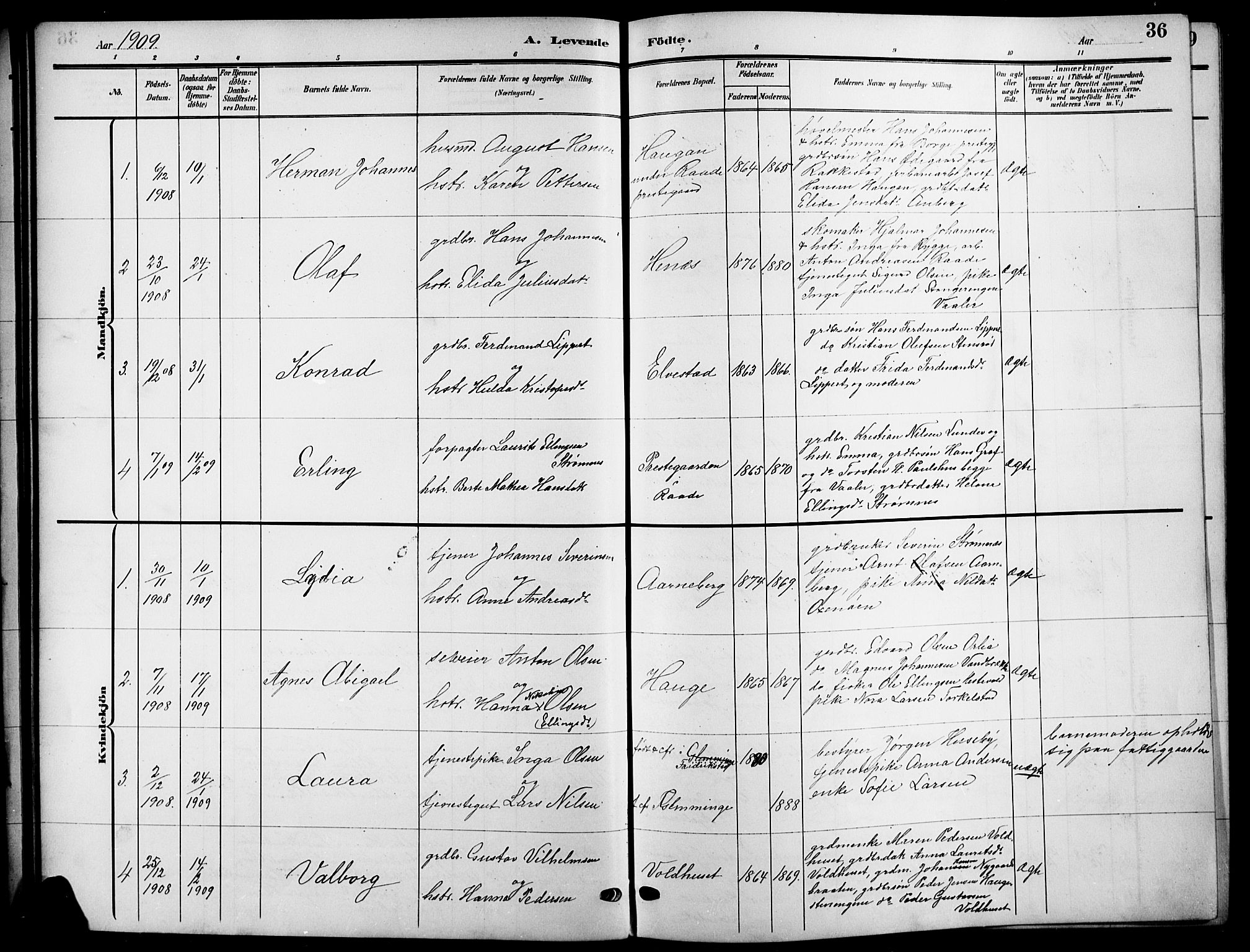 Råde prestekontor kirkebøker, SAO/A-2009/G/Ga/L0001: Parish register (copy) no. 1, 1903-1925, p. 36