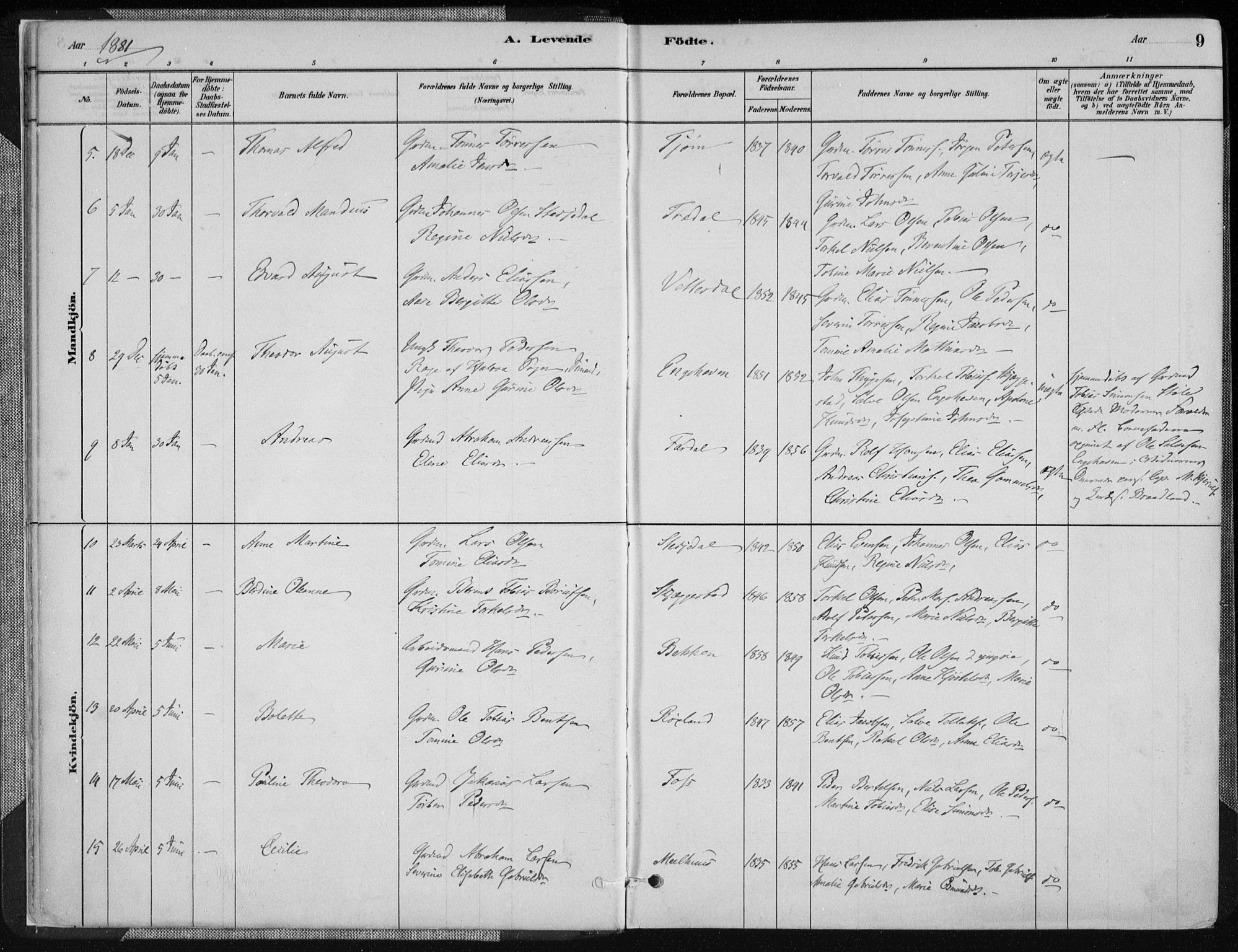 Sør-Audnedal sokneprestkontor, AV/SAK-1111-0039/F/Fa/Fab/L0009: Parish register (official) no. A 9, 1880-1895, p. 9