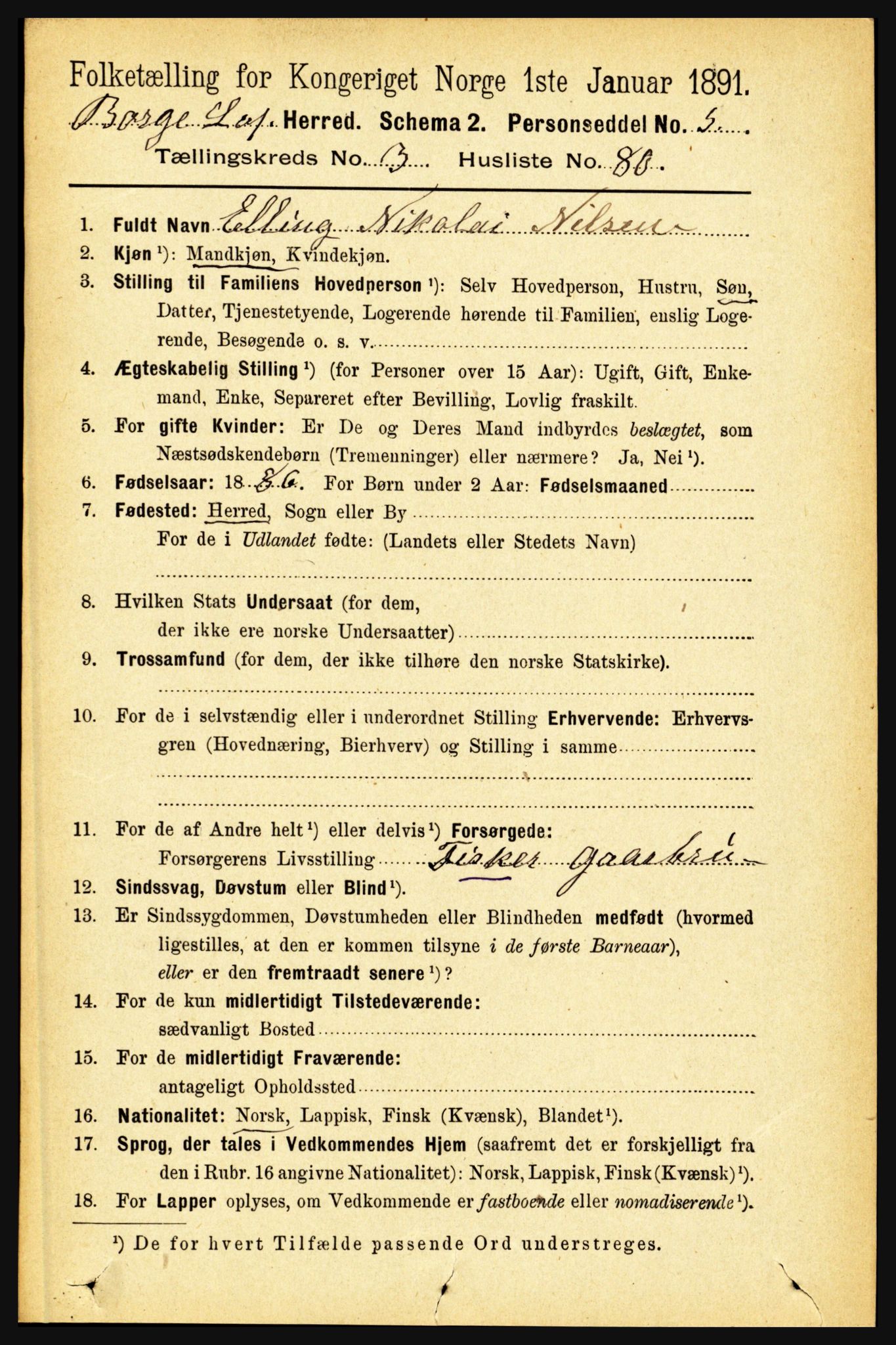 RA, 1891 census for 1862 Borge, 1891, p. 2015