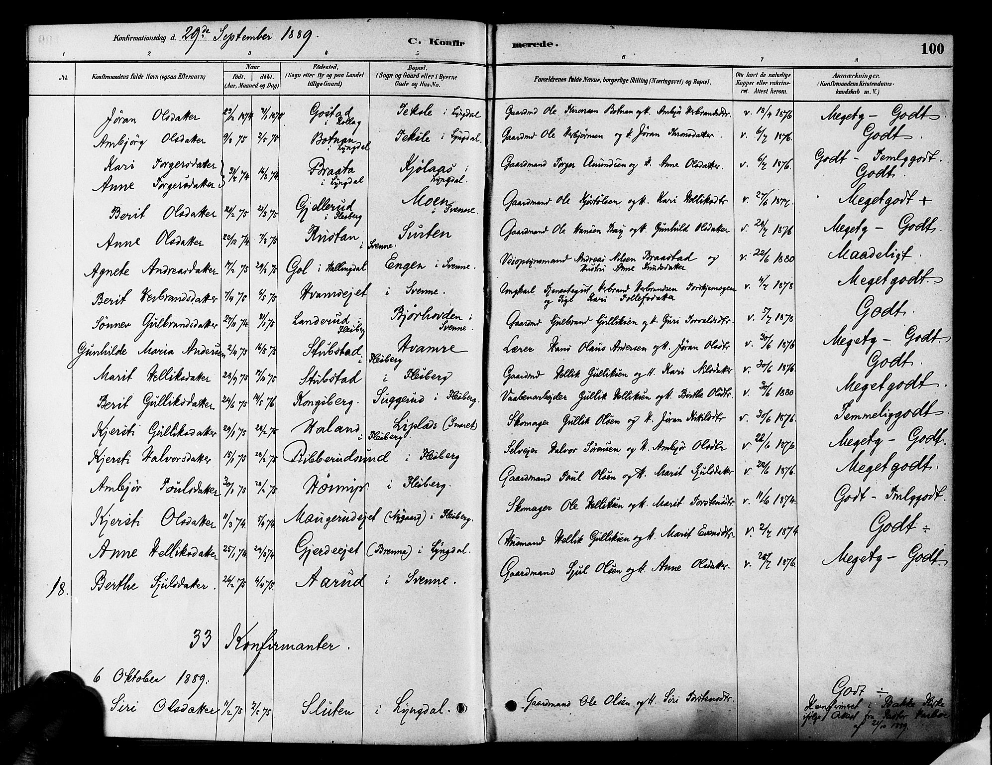 Flesberg kirkebøker, SAKO/A-18/F/Fa/L0008: Parish register (official) no. I 8, 1879-1899, p. 100