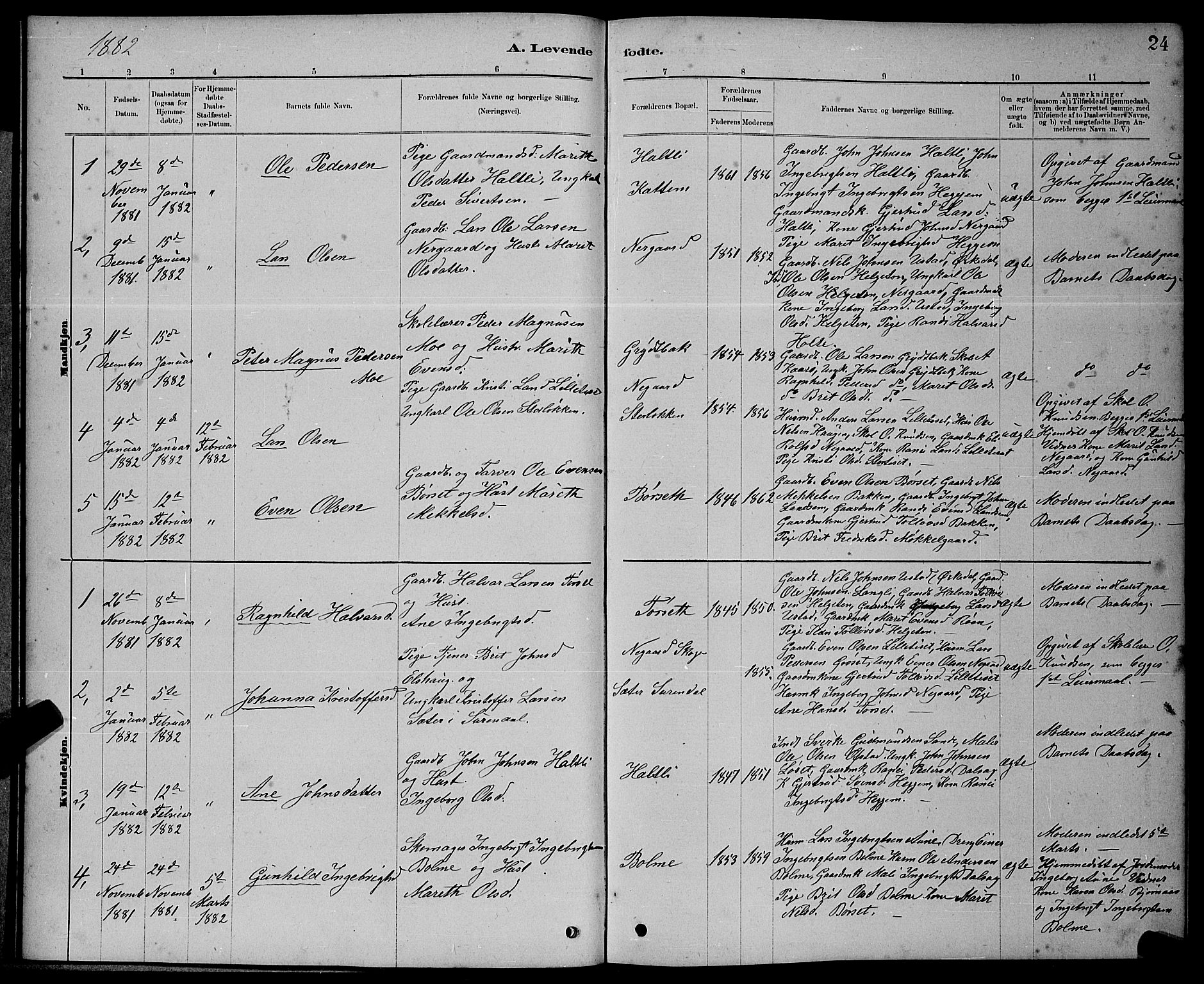 Ministerialprotokoller, klokkerbøker og fødselsregistre - Møre og Romsdal, AV/SAT-A-1454/598/L1077: Parish register (copy) no. 598C02, 1879-1891, p. 24