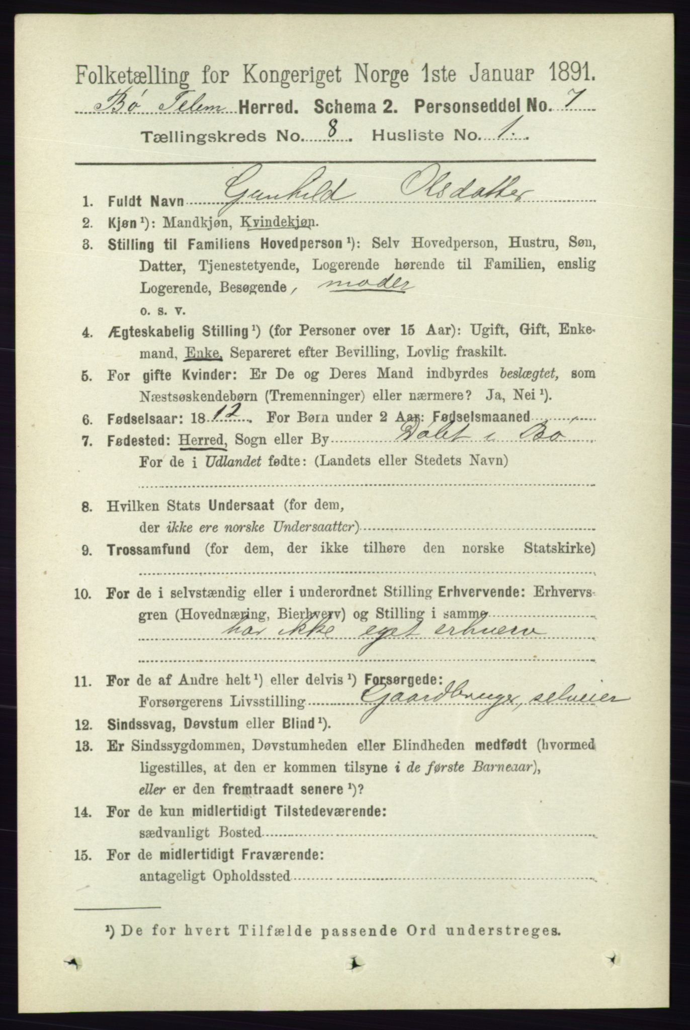 RA, 1891 census for 0821 Bø, 1891, p. 2565