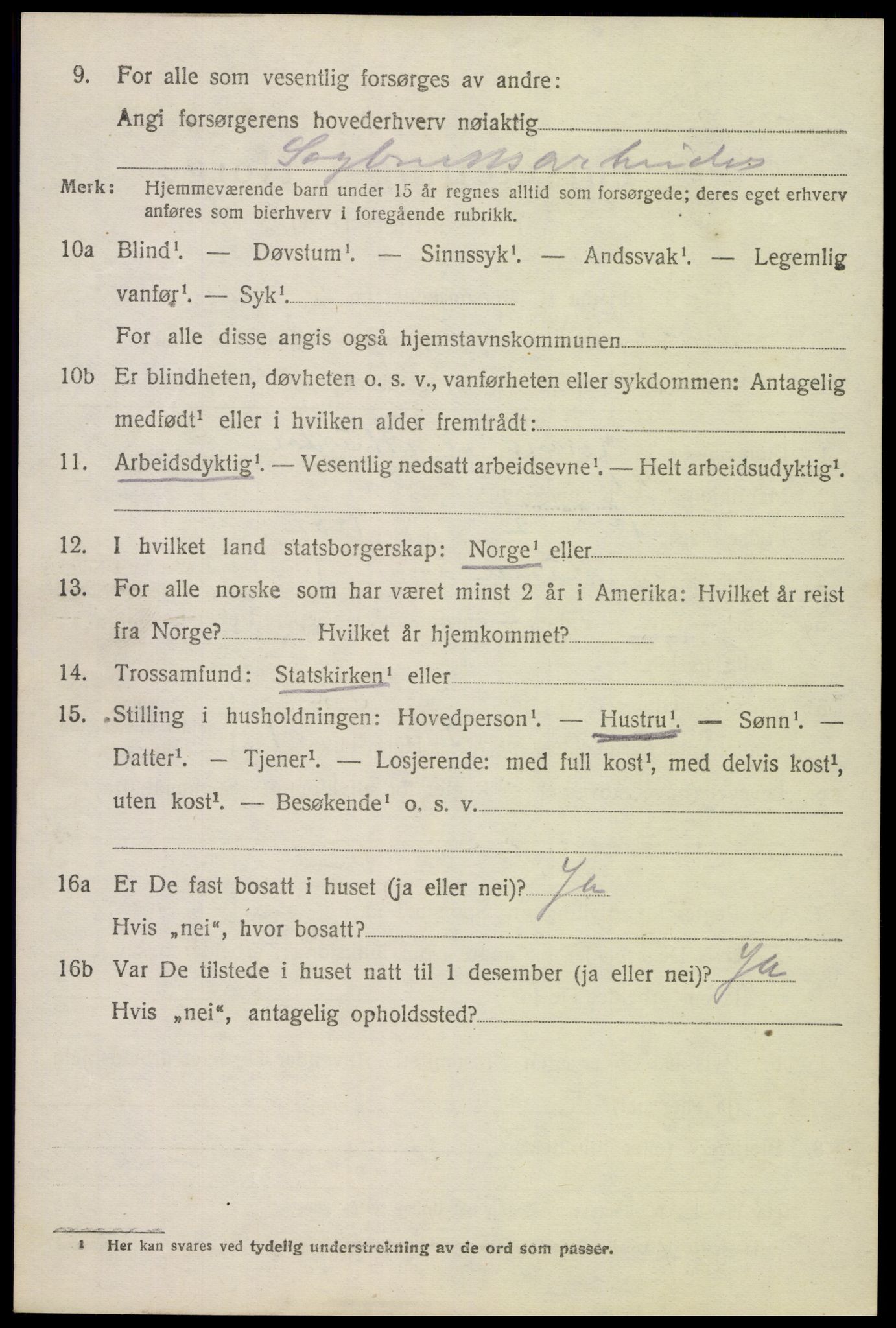 SAK, 1920 census for Hornnes, 1920, p. 2536