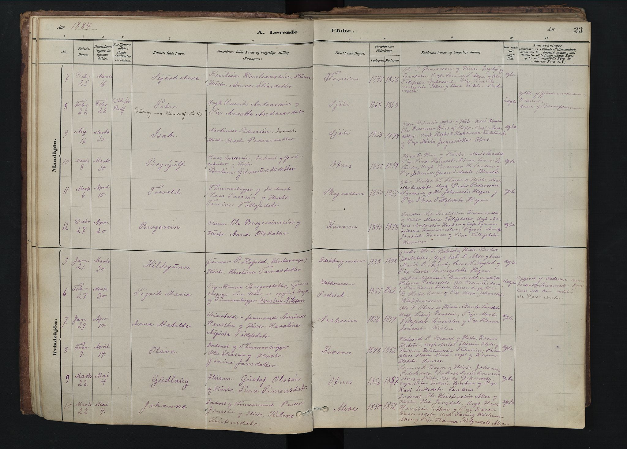 Rendalen prestekontor, SAH/PREST-054/H/Ha/Hab/L0009: Parish register (copy) no. 9, 1879-1902, p. 23