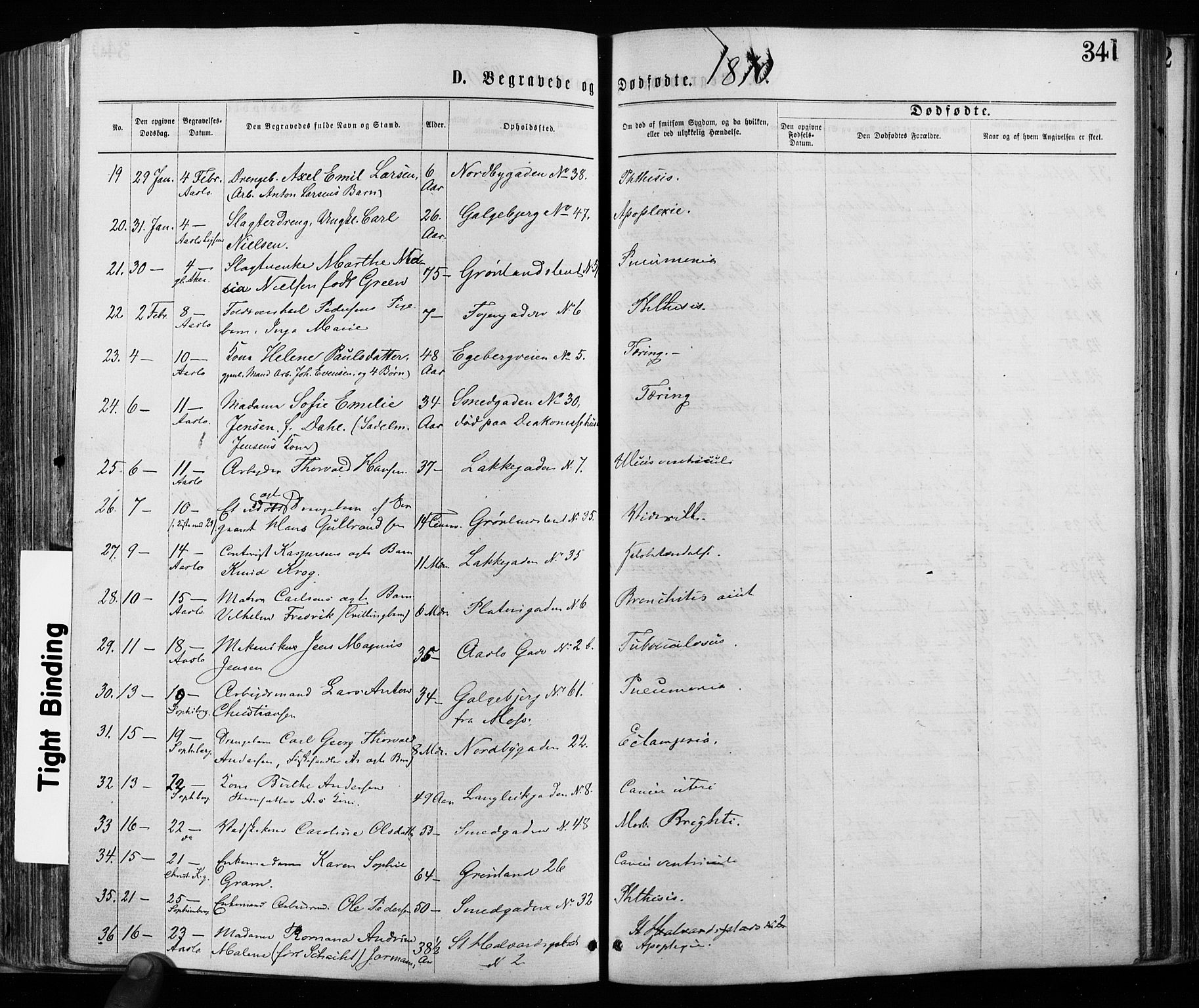 Grønland prestekontor Kirkebøker, AV/SAO-A-10848/F/Fa/L0005: Parish register (official) no. 5, 1869-1880, p. 341