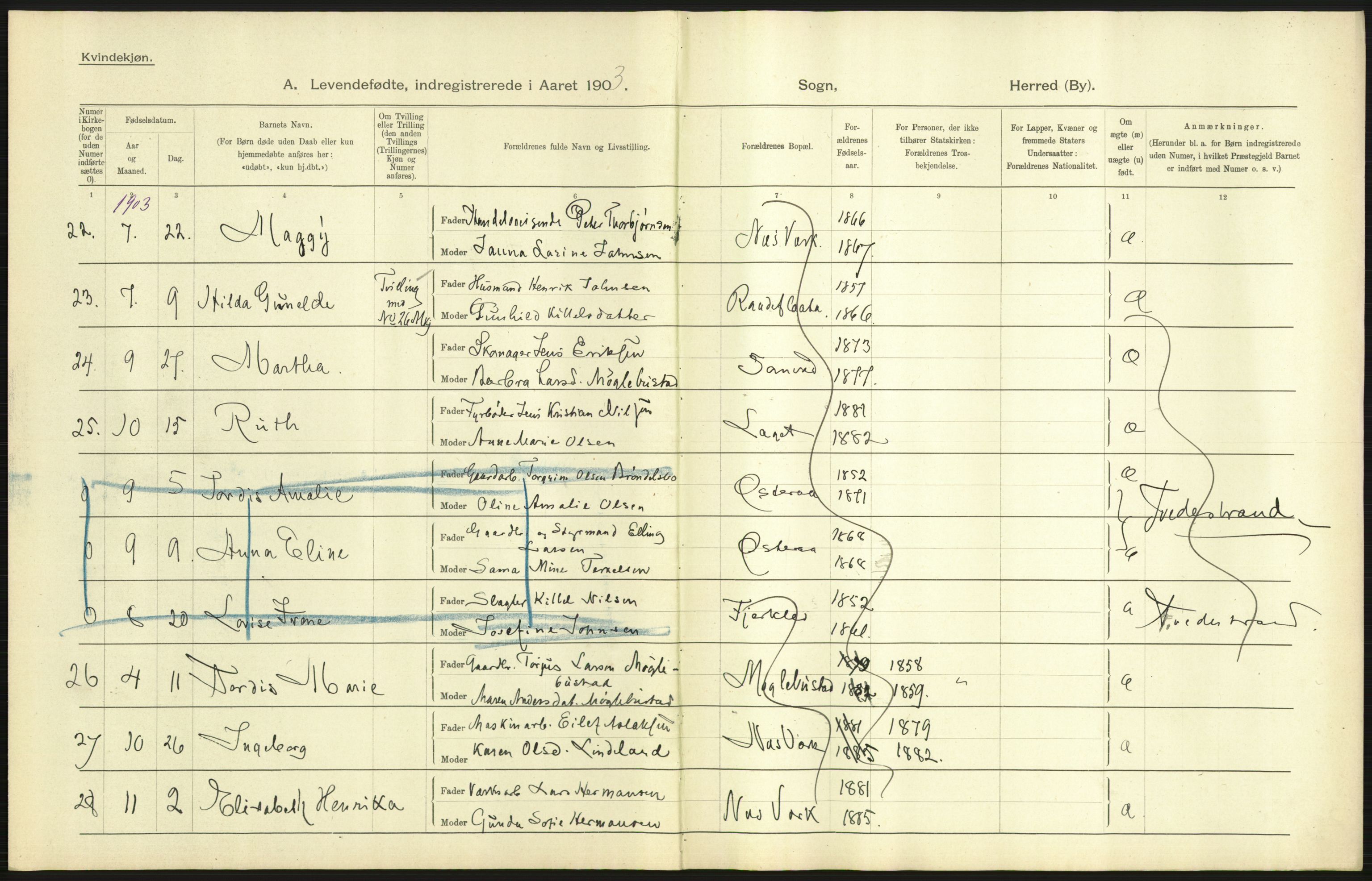 Statistisk sentralbyrå, Sosiodemografiske emner, Befolkning, AV/RA-S-2228/D/Df/Dfa/Dfaa/L0010: Nedenes amt: Fødte, gifte, døde, 1903, p. 61