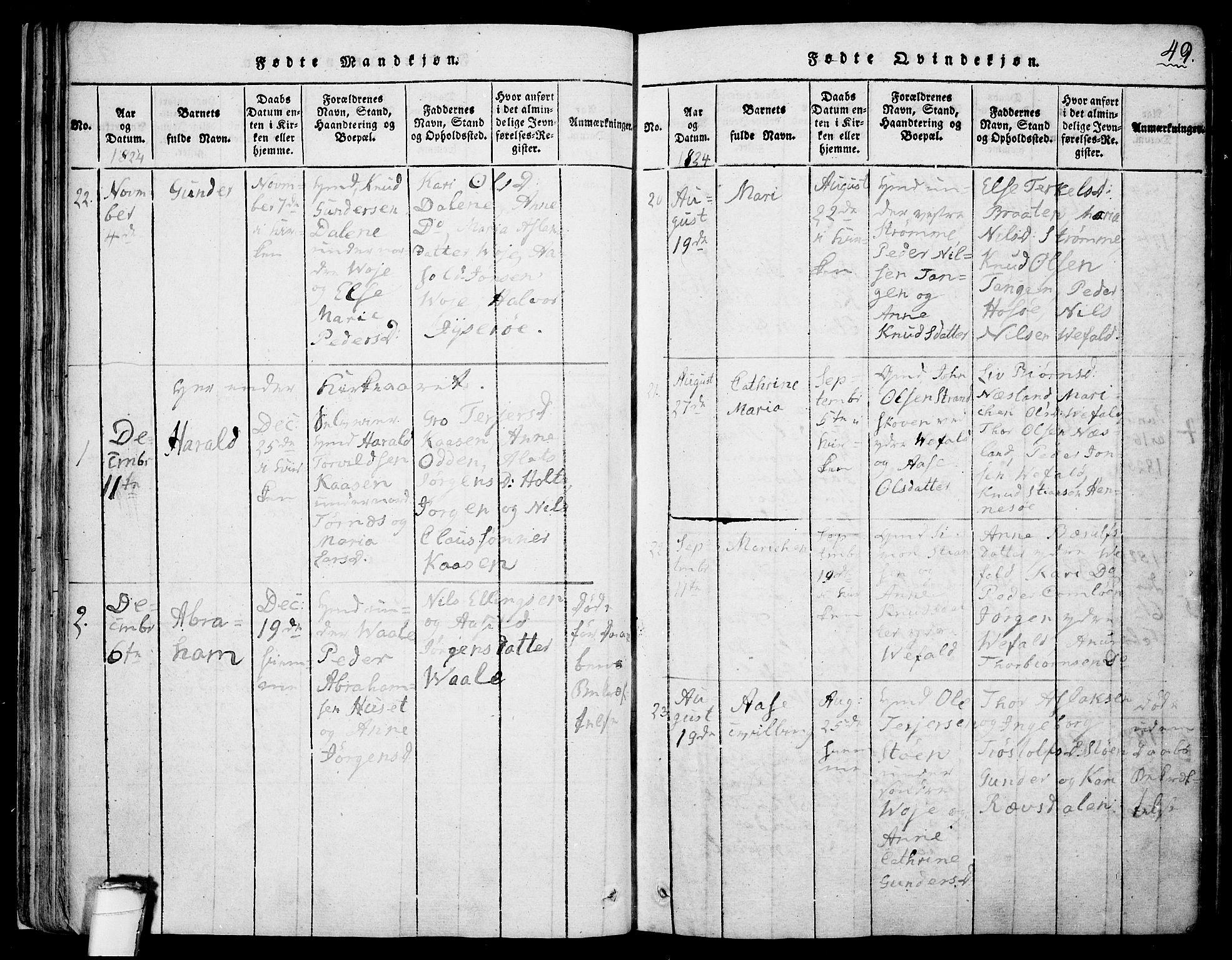 Drangedal kirkebøker, AV/SAKO-A-258/F/Fa/L0005: Parish register (official) no. 5 /1, 1814-1831, p. 49
