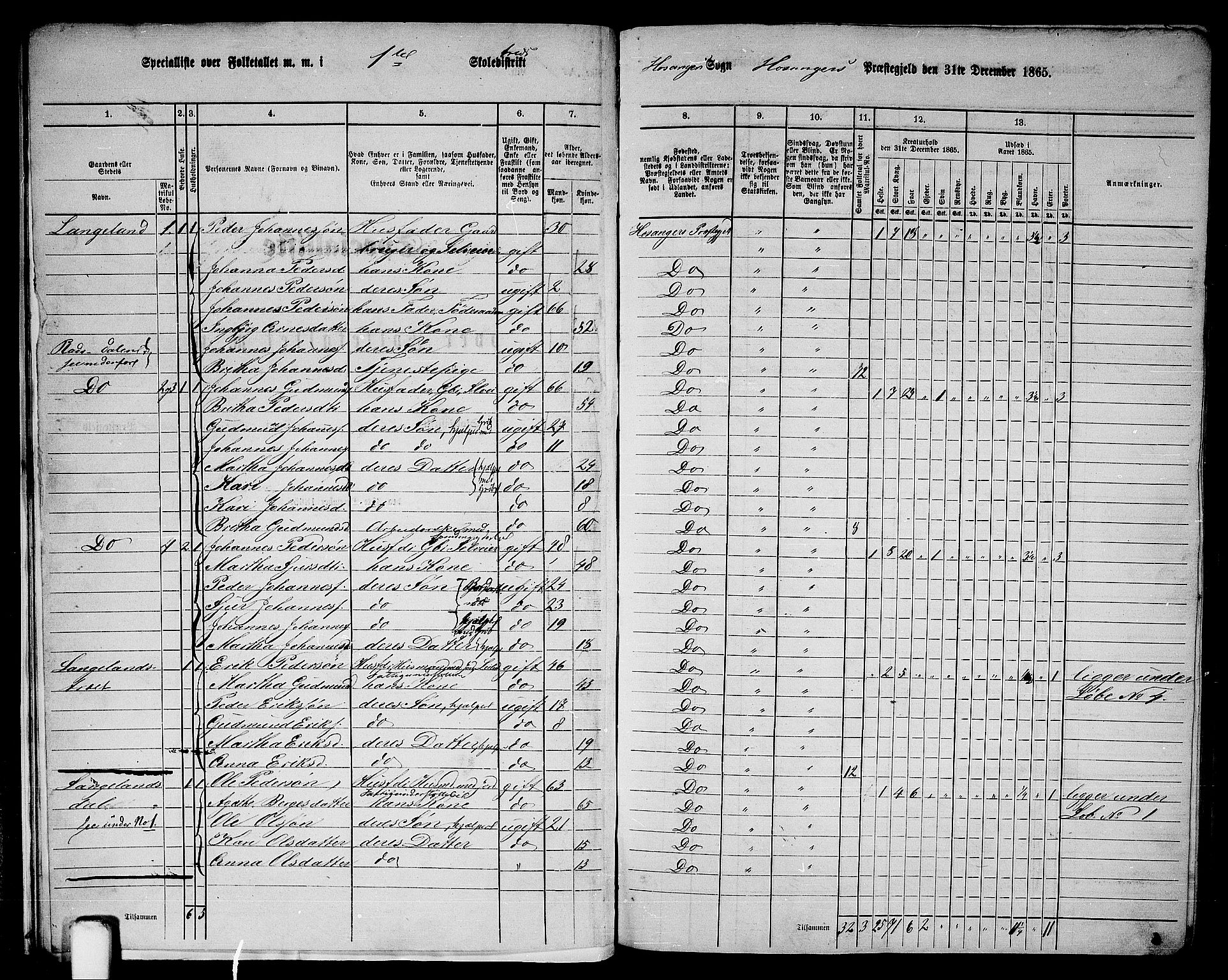 RA, 1865 census for Hosanger, 1865, p. 19