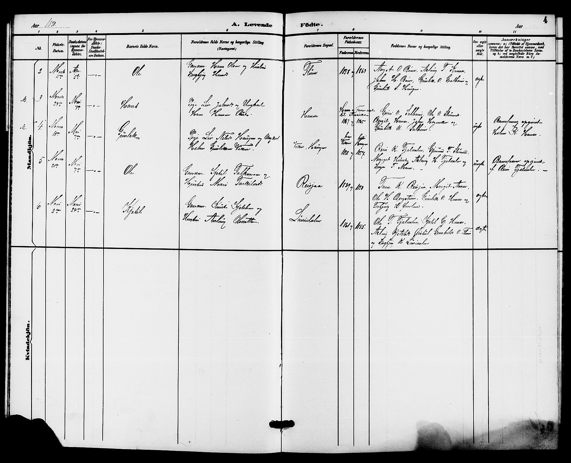 Hjartdal kirkebøker, AV/SAKO-A-270/G/Gc/L0003: Parish register (copy) no. III 3, 1890-1907, p. 4