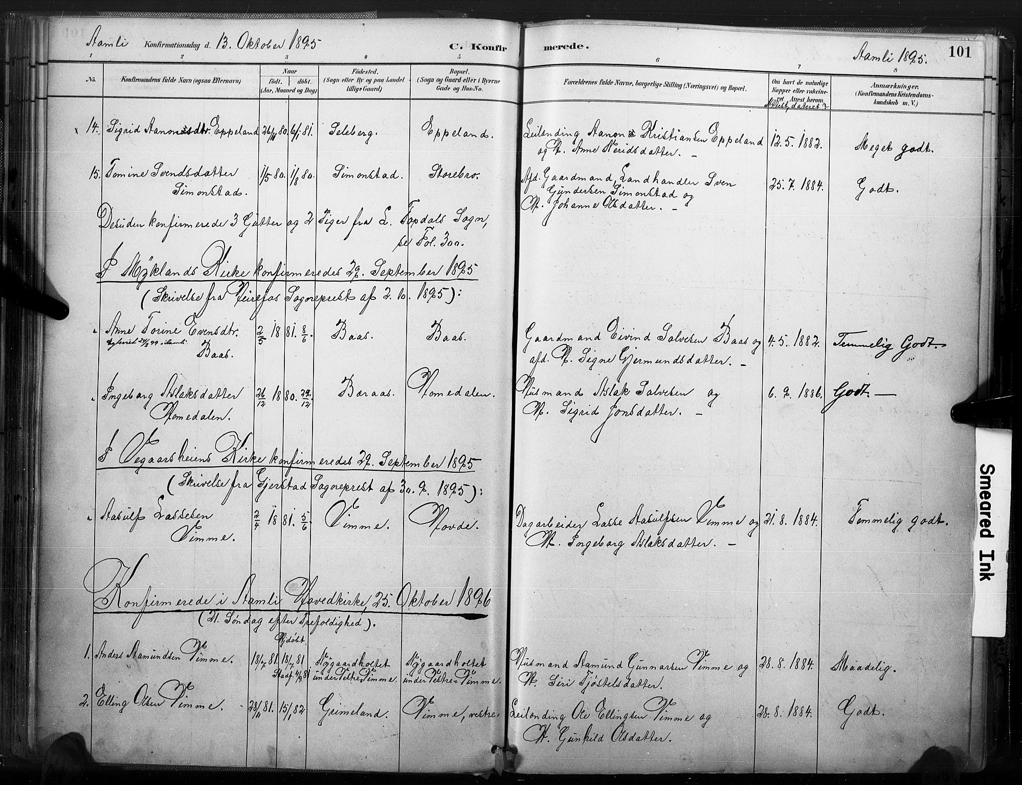 Åmli sokneprestkontor, SAK/1111-0050/F/Fa/Fac/L0010: Parish register (official) no. A 10 /1, 1885-1899, p. 101