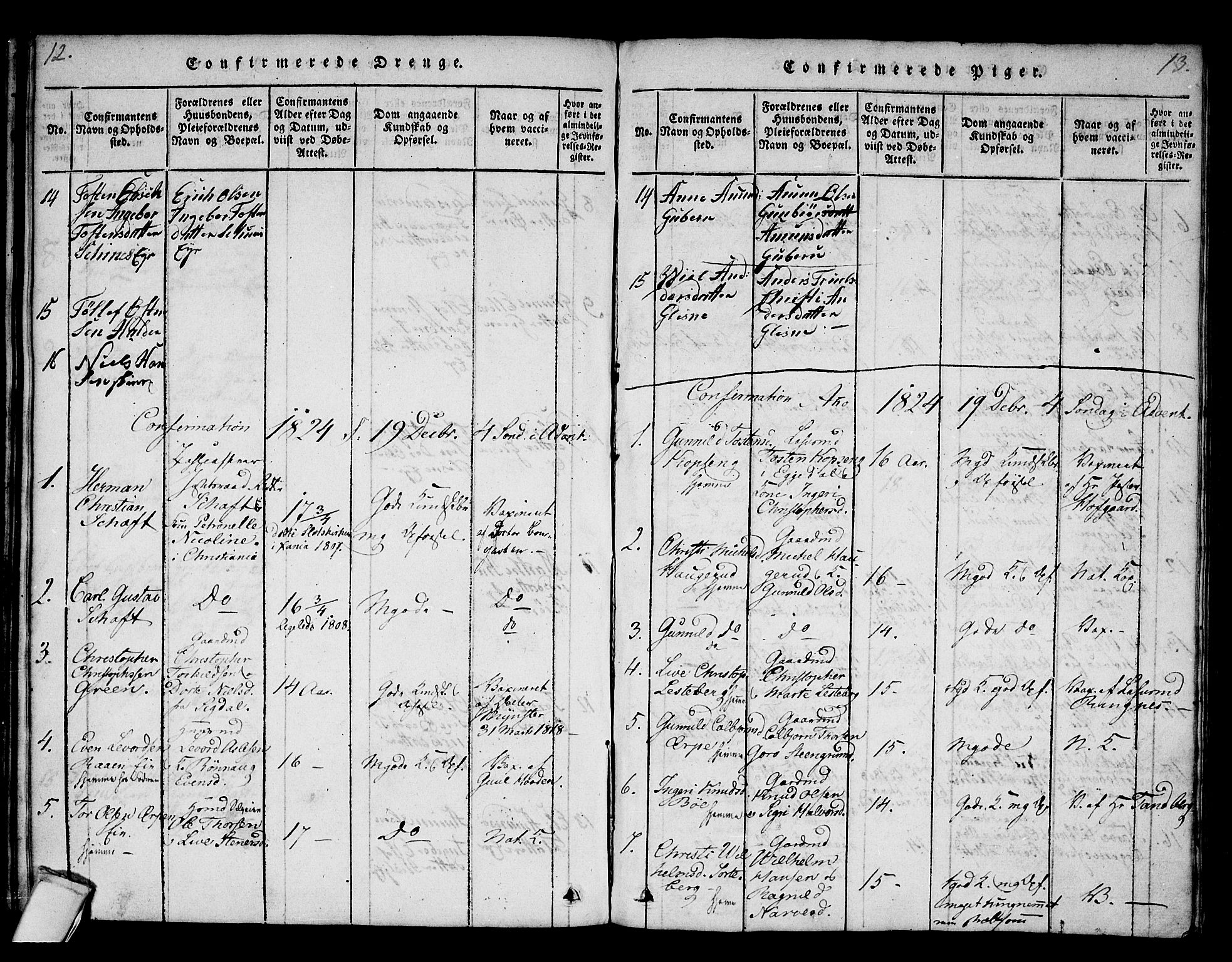 Krødsherad kirkebøker, SAKO/A-19/F/Fa/L0001: Parish register (official) no. 1, 1815-1829, p. 12-13
