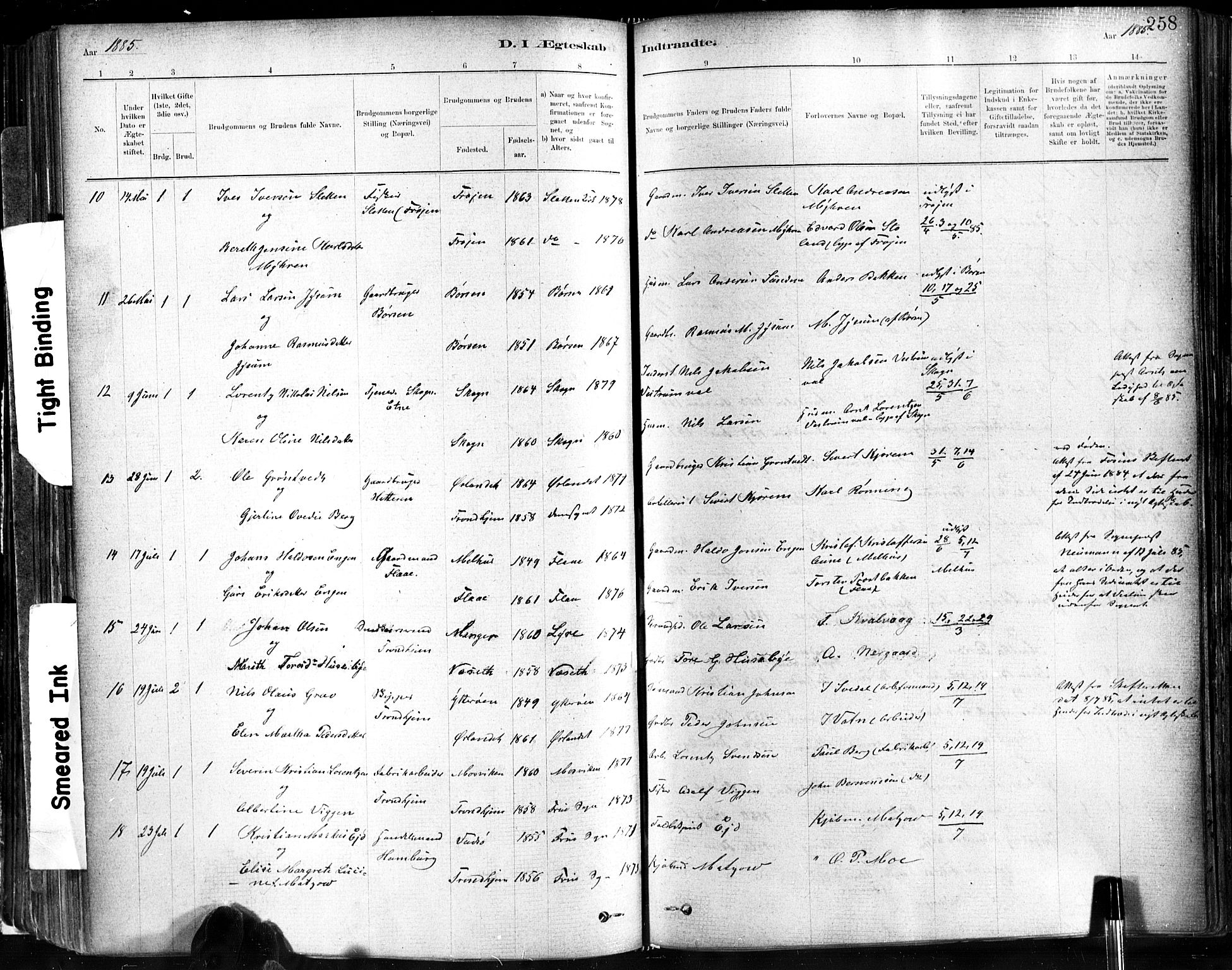 Ministerialprotokoller, klokkerbøker og fødselsregistre - Sør-Trøndelag, AV/SAT-A-1456/602/L0119: Parish register (official) no. 602A17, 1880-1901, p. 258