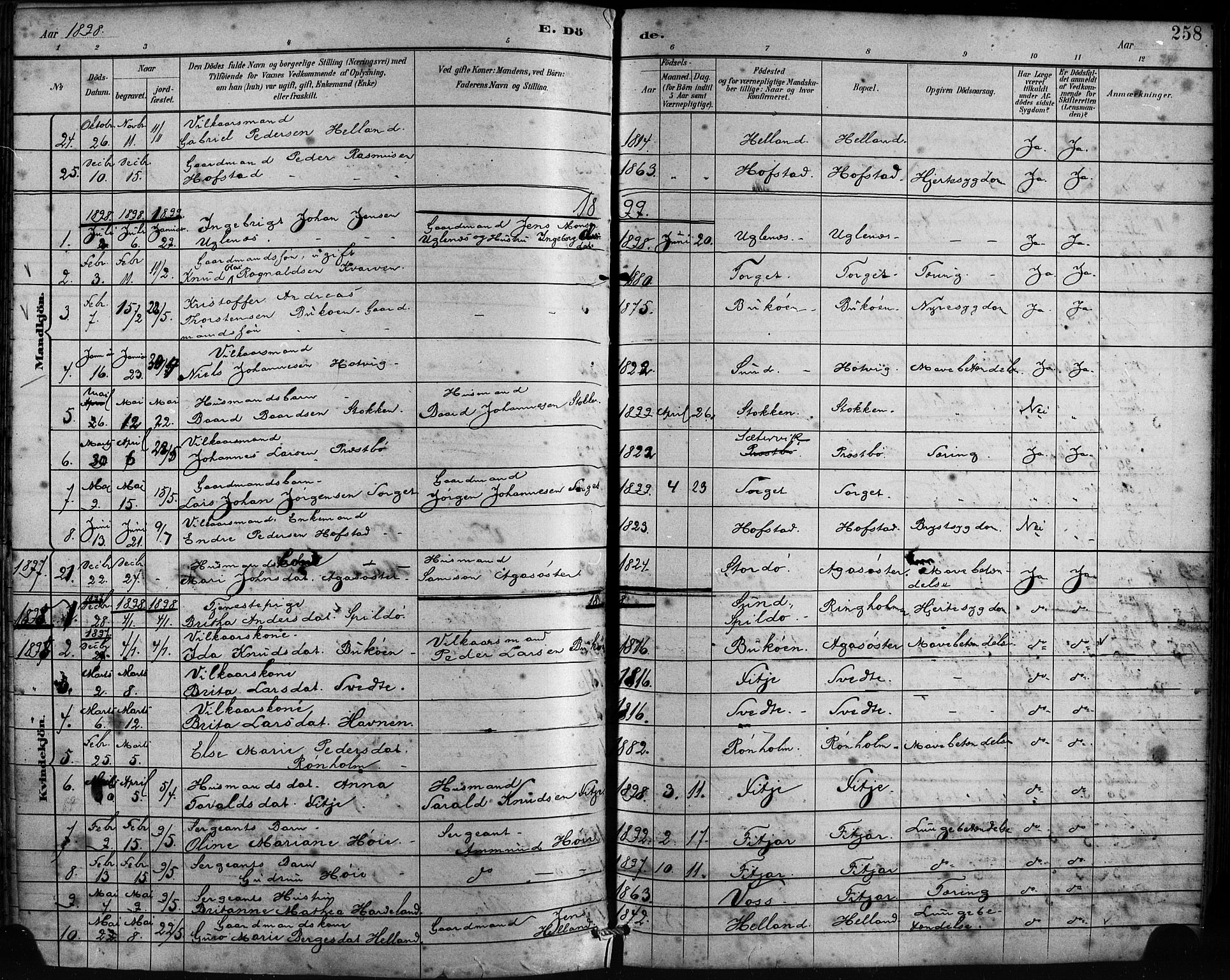 Fitjar sokneprestembete, SAB/A-99926: Parish register (official) no. A 2, 1882-1899, p. 258