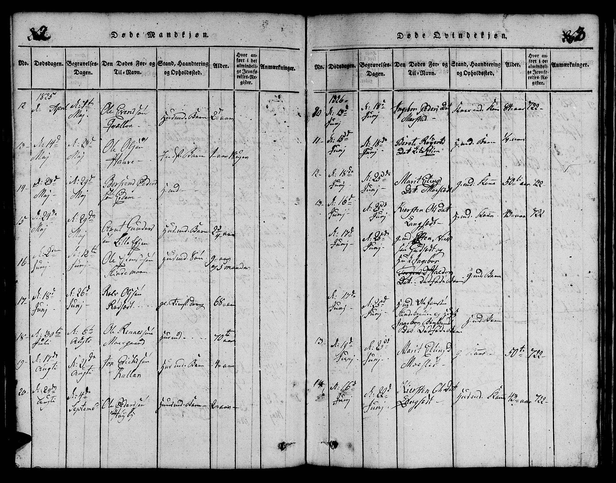 Ministerialprotokoller, klokkerbøker og fødselsregistre - Sør-Trøndelag, AV/SAT-A-1456/695/L1152: Parish register (copy) no. 695C03, 1816-1831, p. 262-263