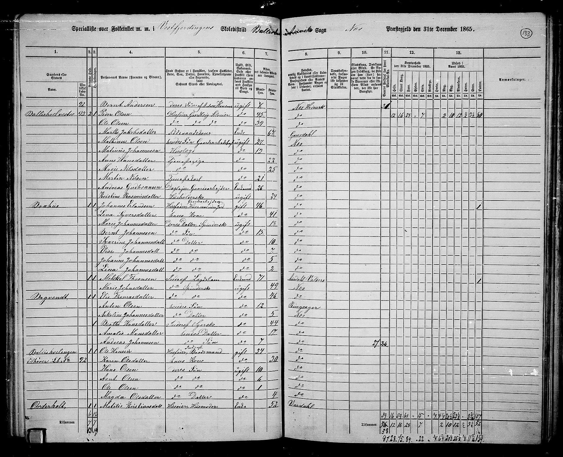 RA, 1865 census for Nes, 1865, p. 113