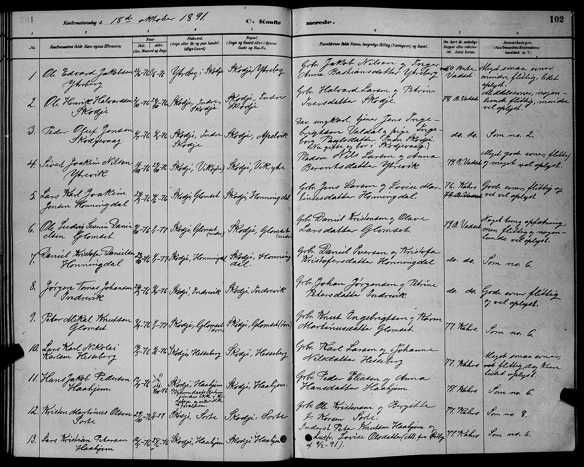 Ministerialprotokoller, klokkerbøker og fødselsregistre - Møre og Romsdal, AV/SAT-A-1454/524/L0365: Parish register (copy) no. 524C06, 1880-1899, p. 102