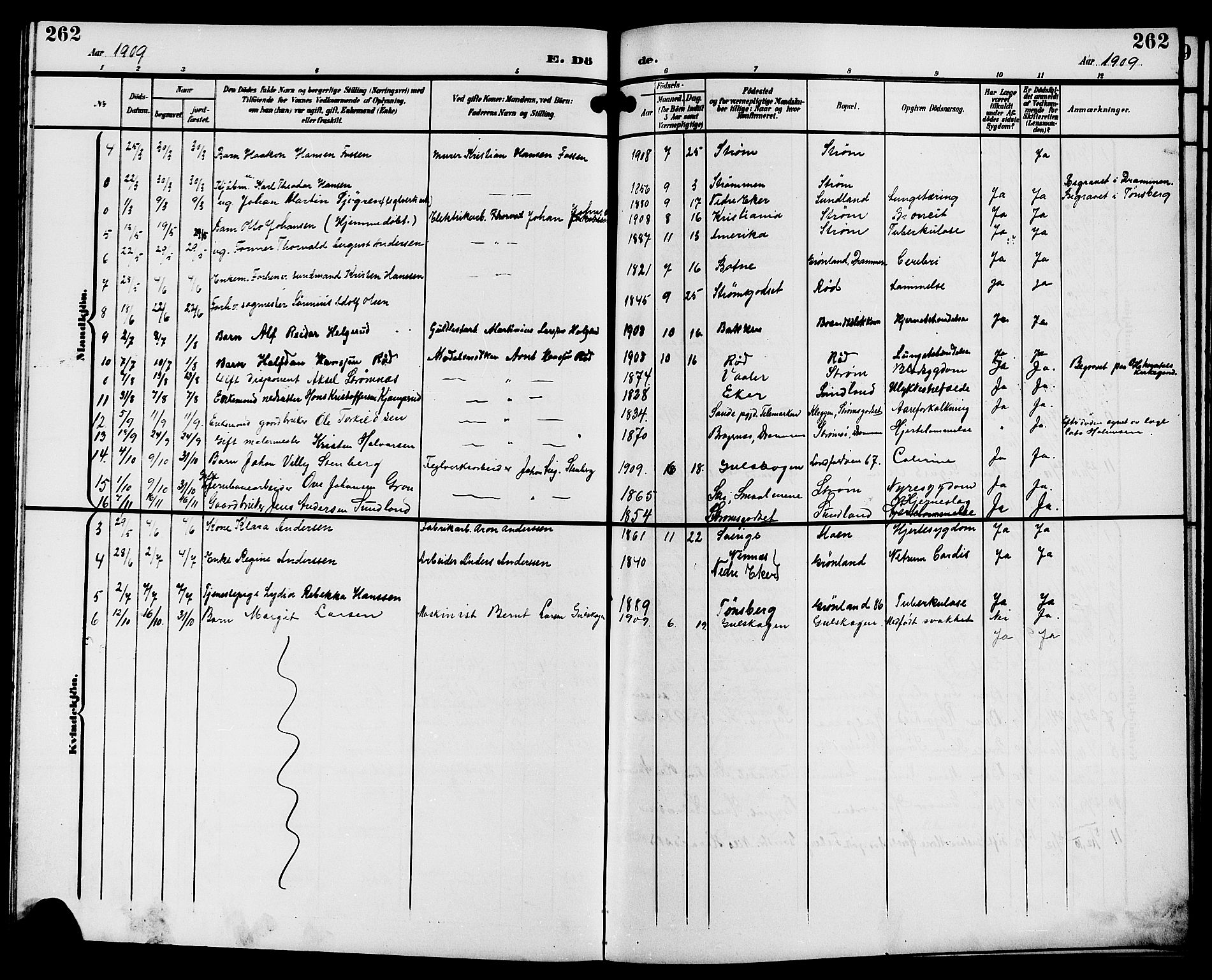 Strømsgodset kirkebøker, SAKO/A-324/G/Ga/L0002: Parish register (copy) no. 2, 1885-1910, p. 262