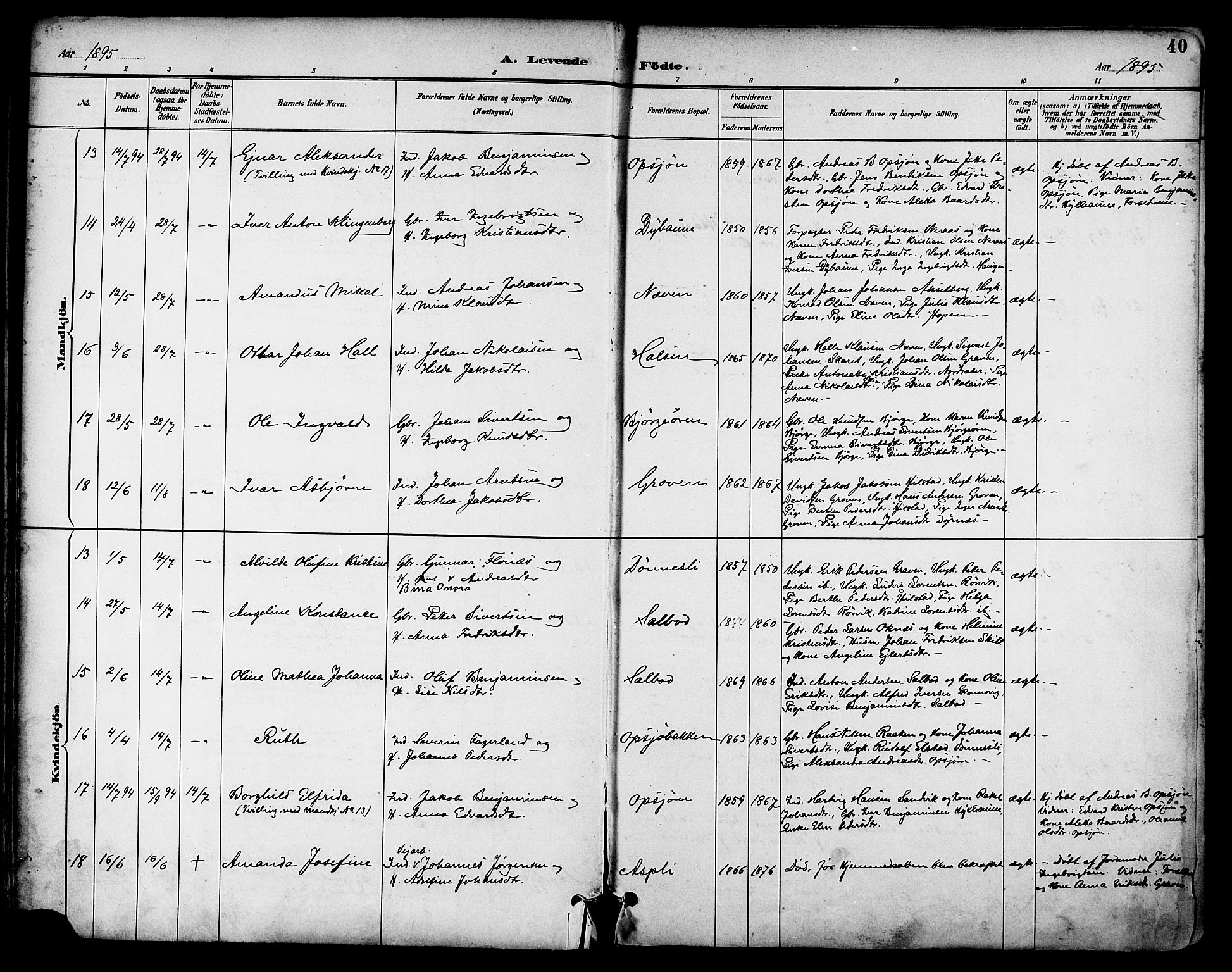 Ministerialprotokoller, klokkerbøker og fødselsregistre - Nordland, AV/SAT-A-1459/814/L0226: Parish register (official) no. 814A07, 1886-1898, p. 40