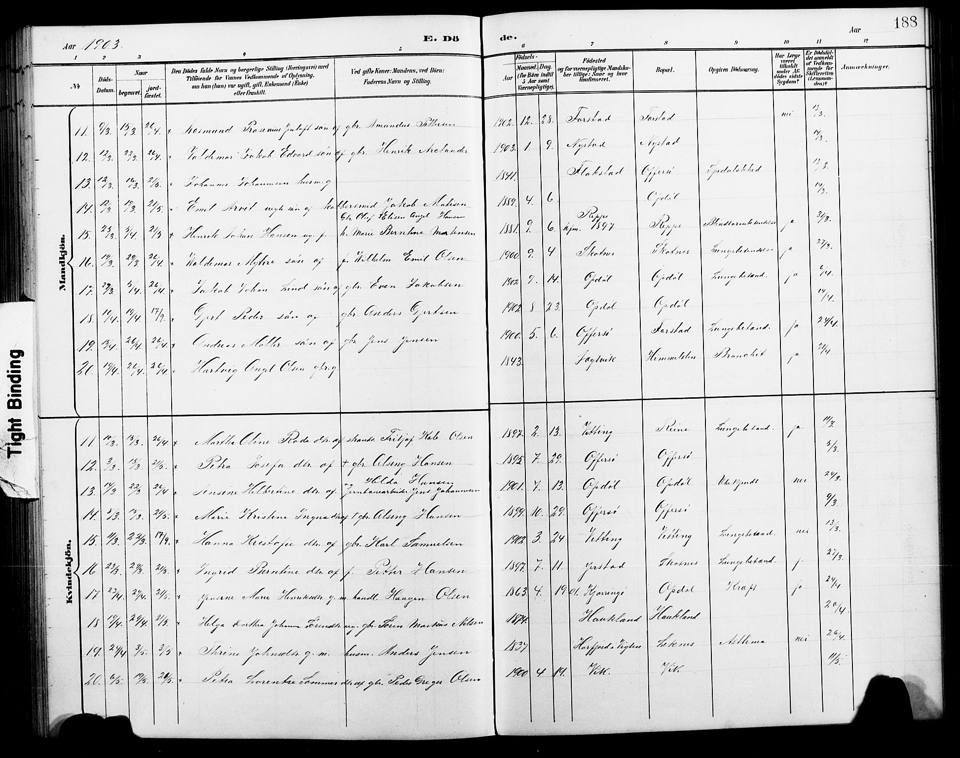 Ministerialprotokoller, klokkerbøker og fødselsregistre - Nordland, AV/SAT-A-1459/881/L1168: Parish register (copy) no. 881C05, 1900-1911, p. 188