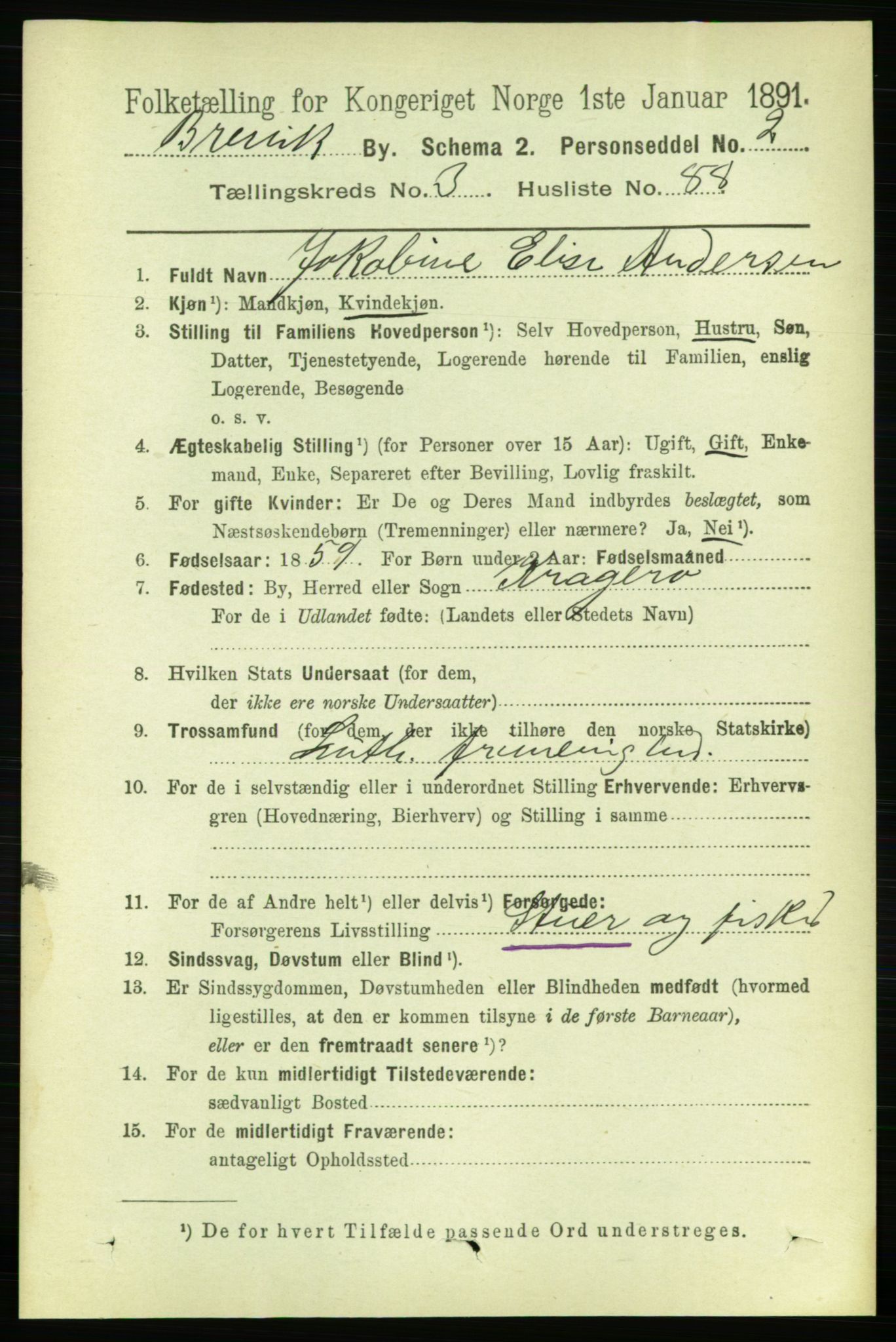 RA, 1891 census for 0804 Brevik, 1891, p. 2690